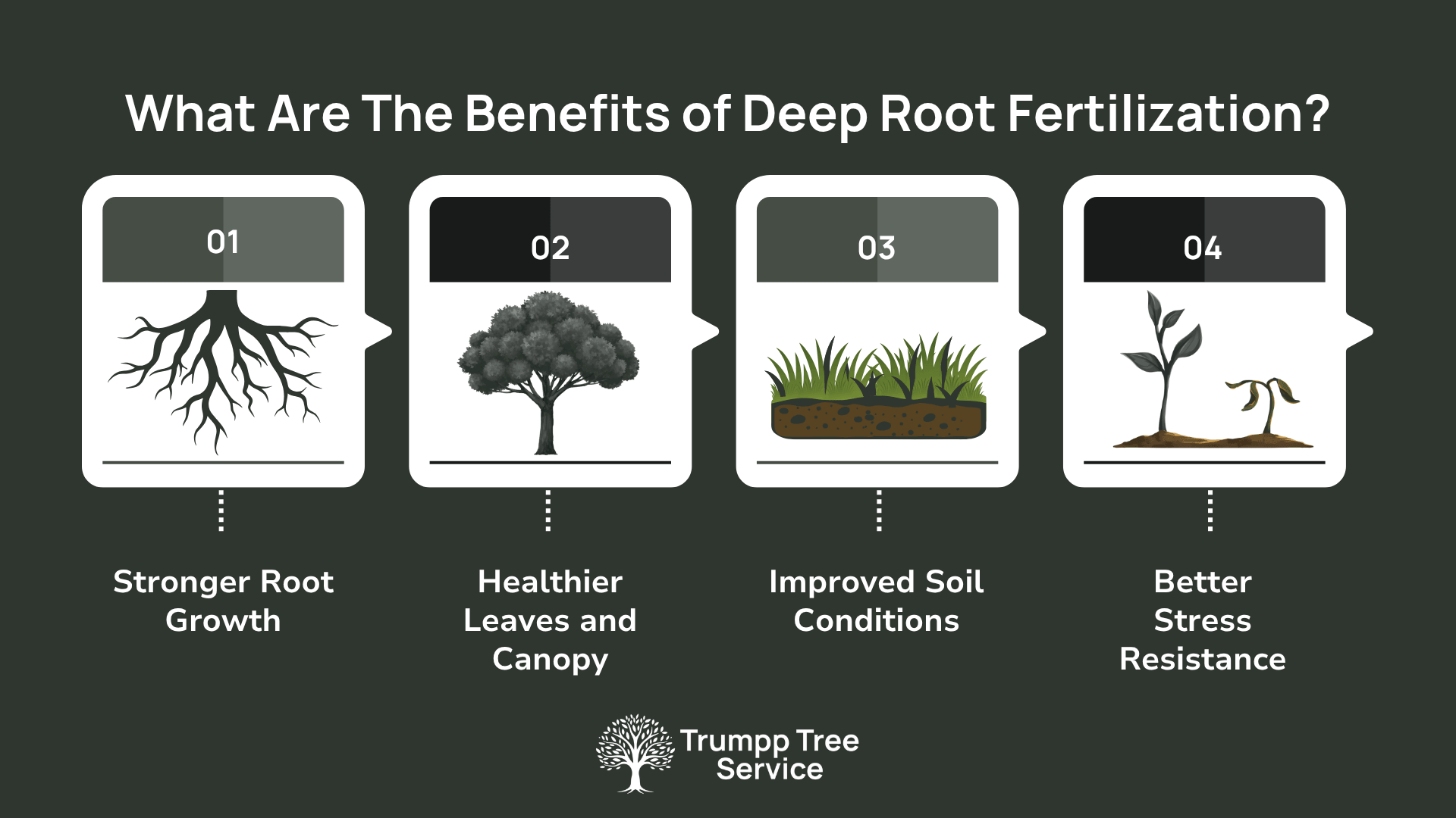graphic showing the benefits of deep root fertilization