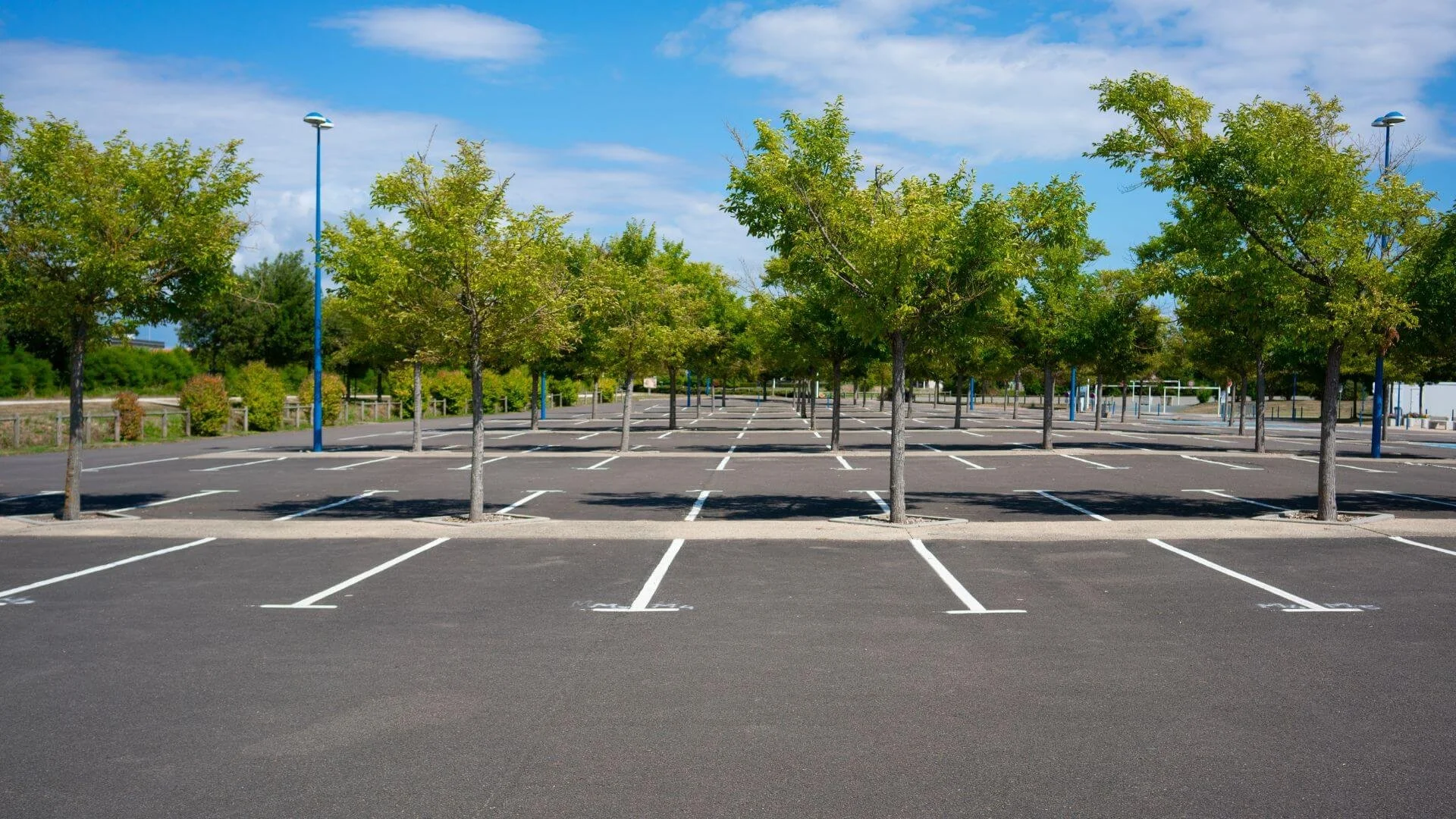 well maintained trees in a parking lot