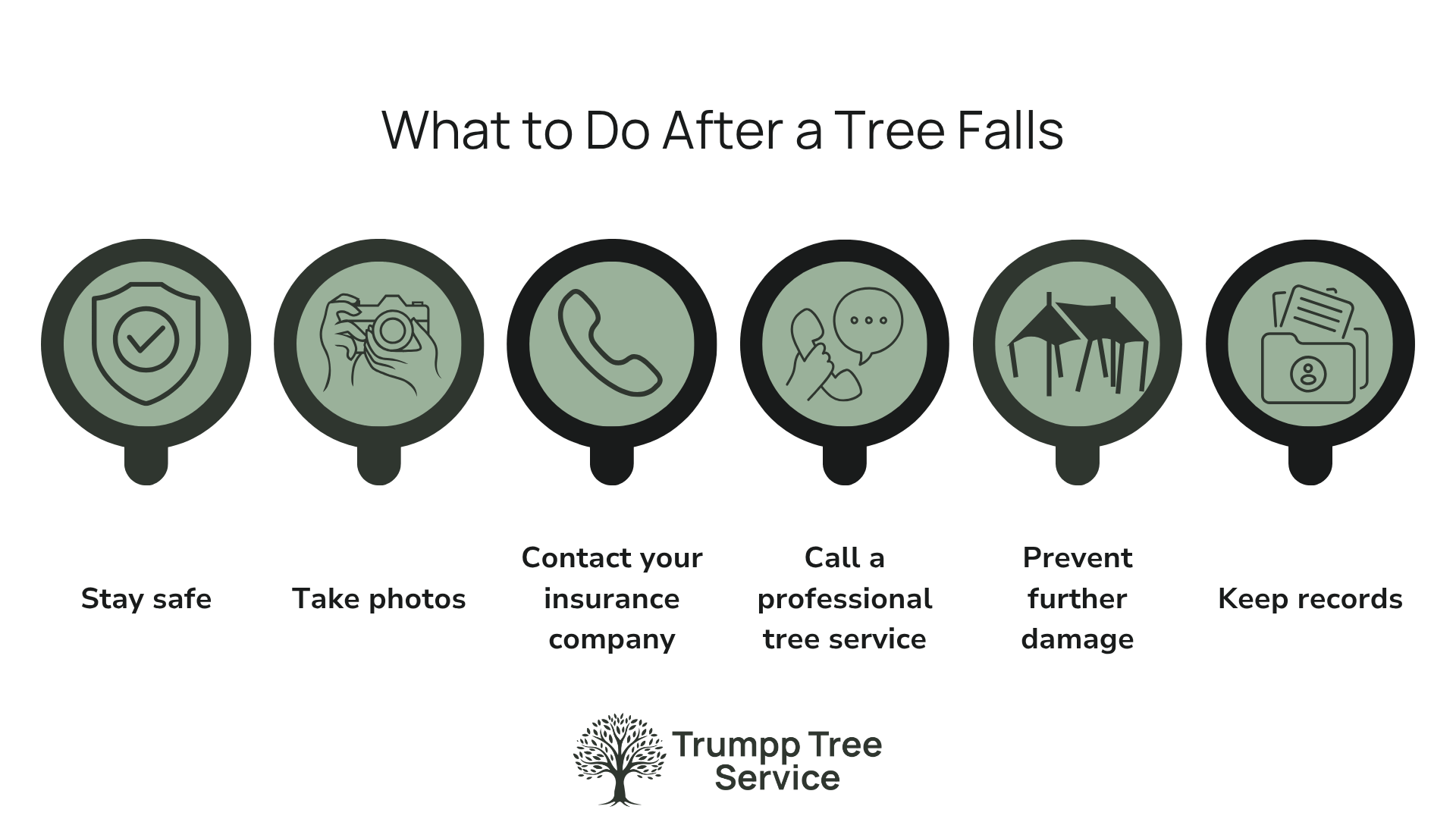 Does My Homeowners Insurance Policy Cover Tree Removal? — Trust Nick ...