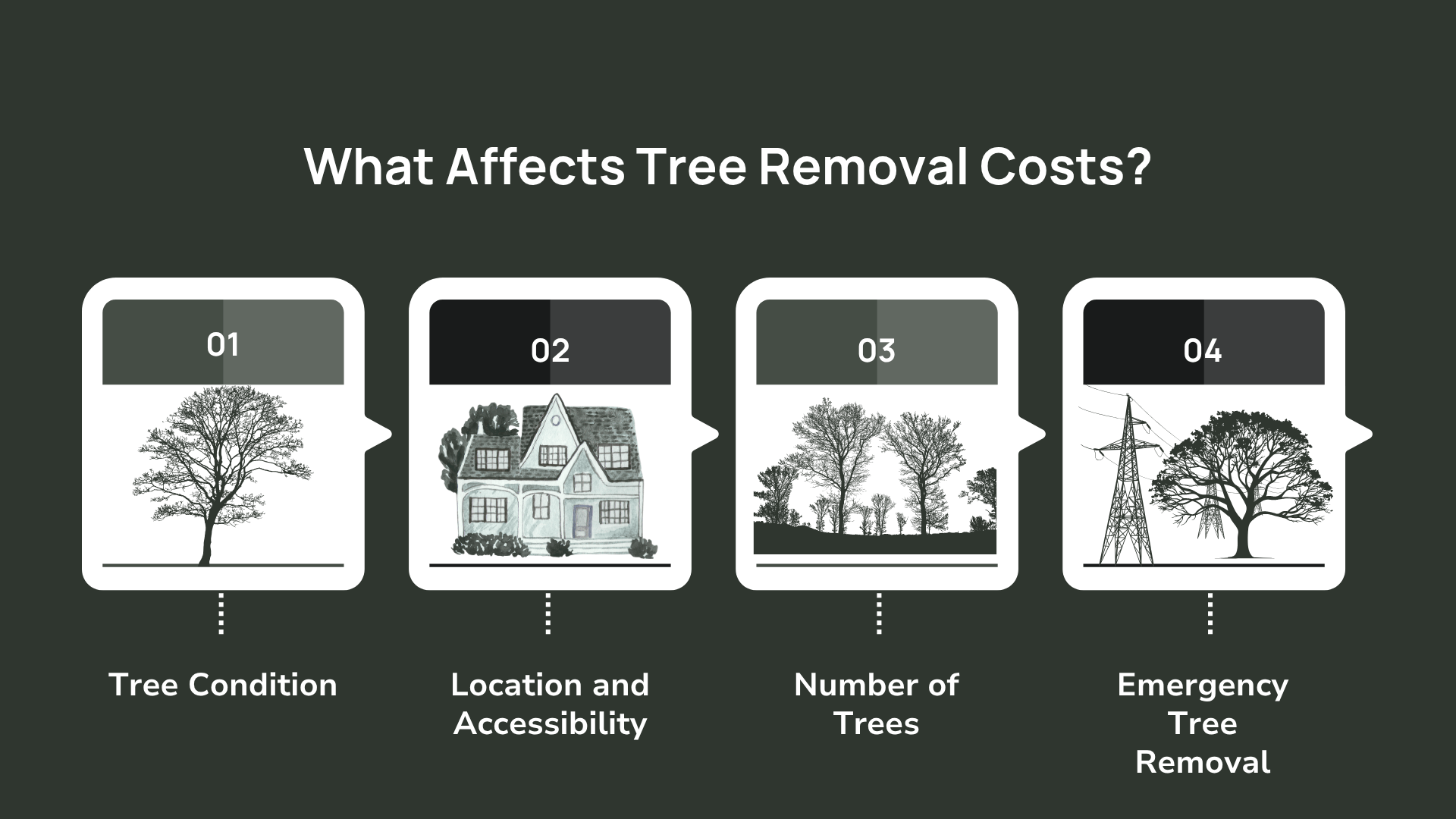 How Much Does Tree Removal Cost? Your Complete Guide — Trust Nick The ...
