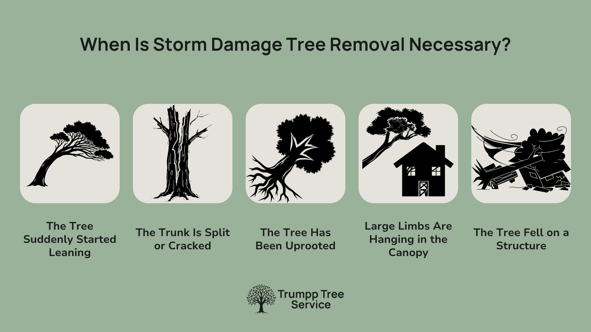 a graphic showing when tree removal is needed after storm damage