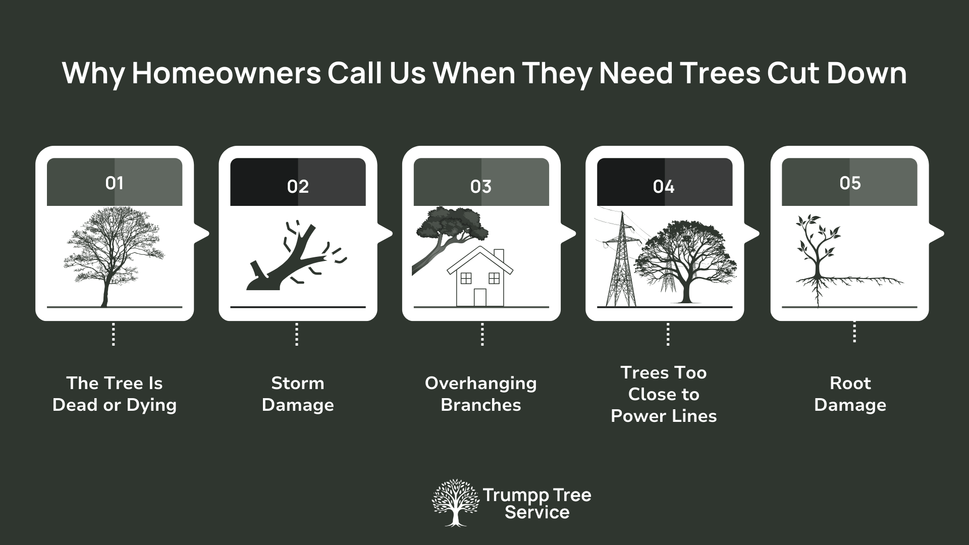 Why Homeowners Call Us When They Need Trees Cut Down.png