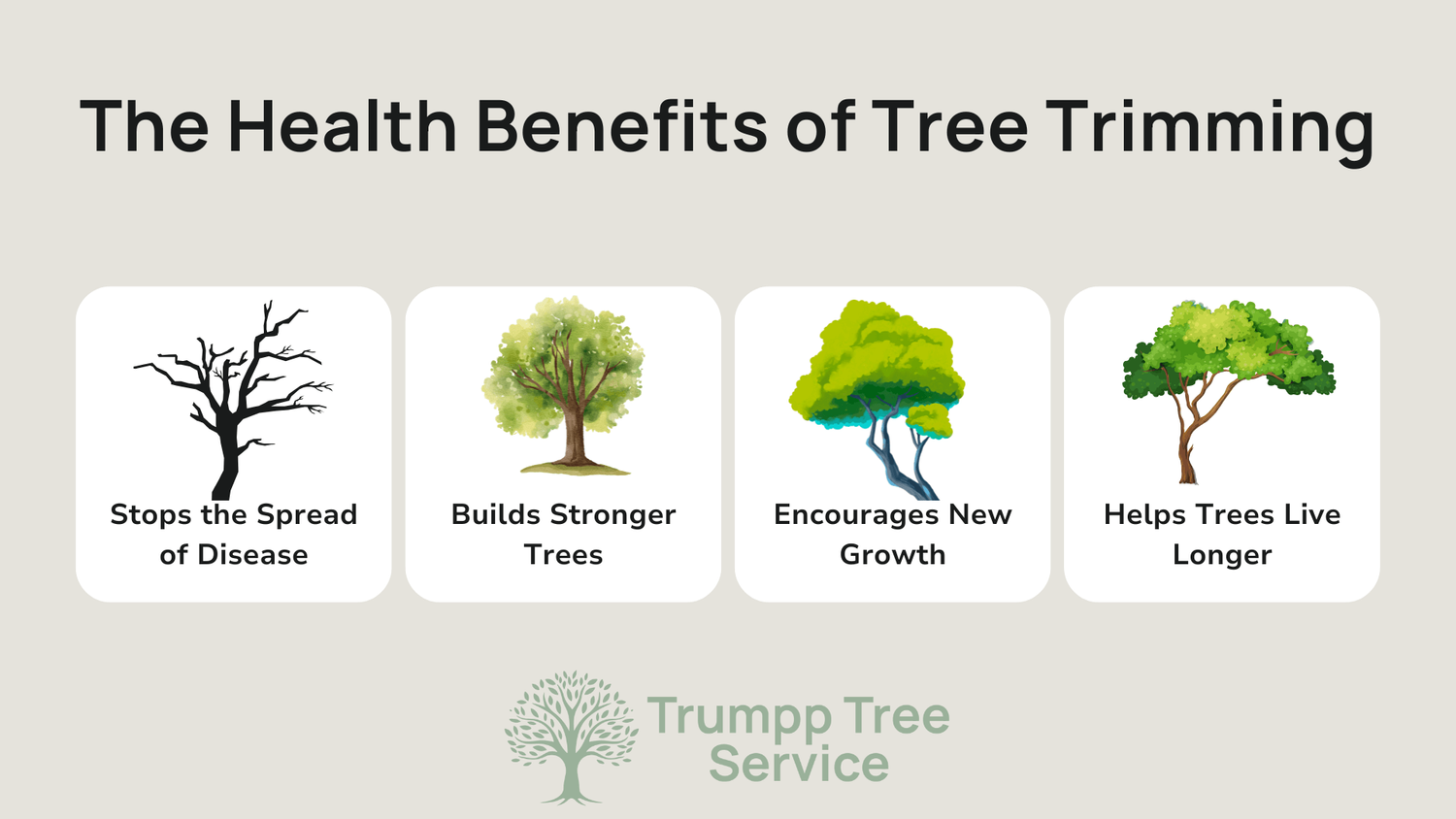 The Importance of Regular Tree Trimming in Michigan — Trust Nick The ...