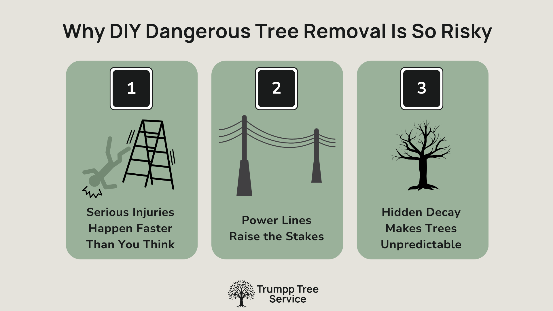 Why DIY Dangerous Tree Removal Is So Risky.png
