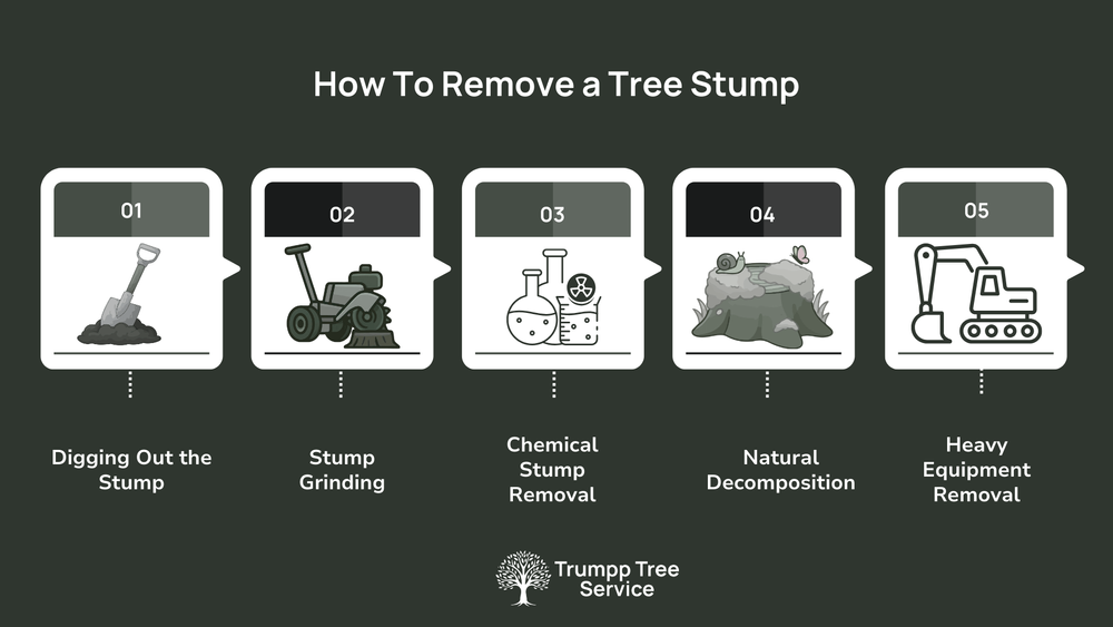 How To Remove a Tree Stump (And When to Call the Pros) — Trust Nick The ...