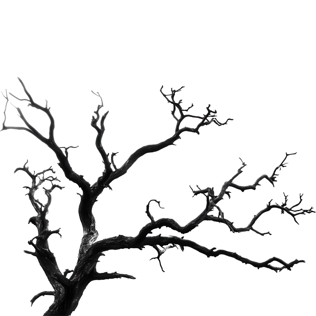 A black, leafless, gnarled tree branch against a black background.