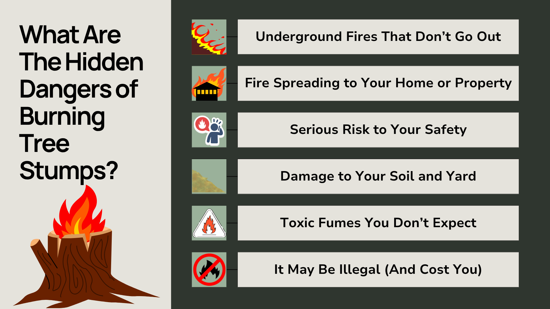 graphic explaining the dangers of burning a tree stump