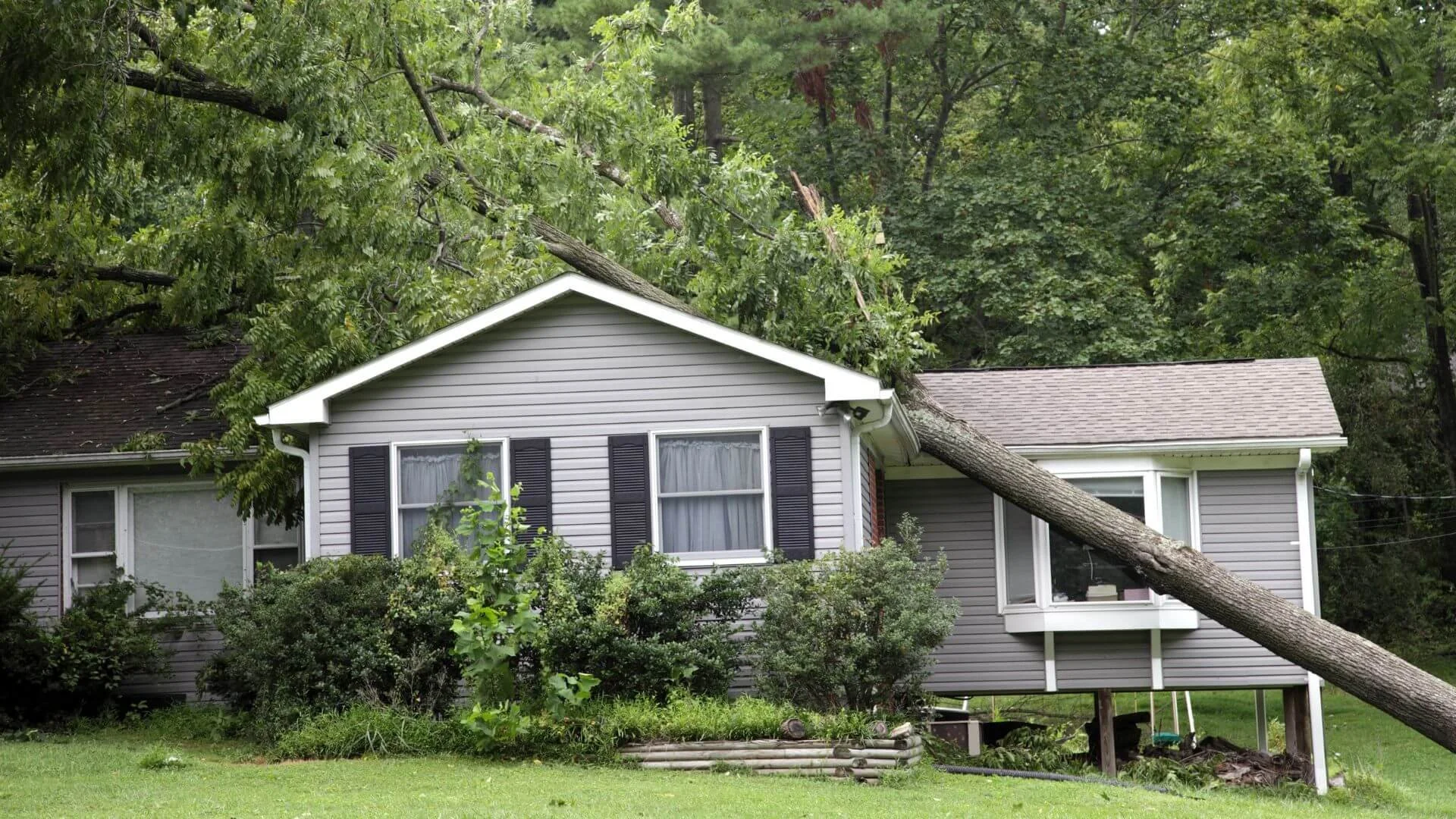 a tree that's fallen and resting on top of a house