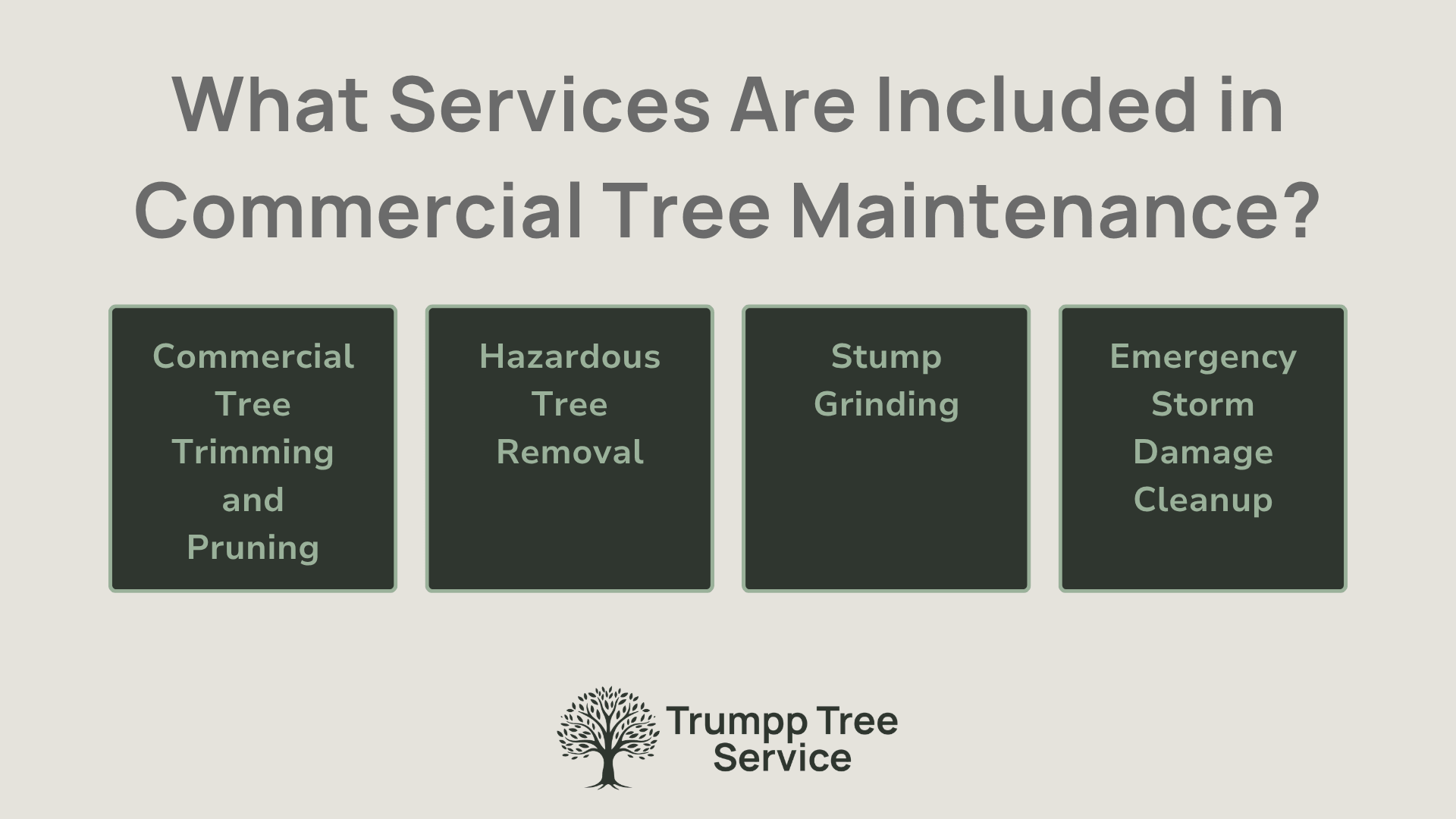 graphic showing the services included in a commercial tree maintenance plan