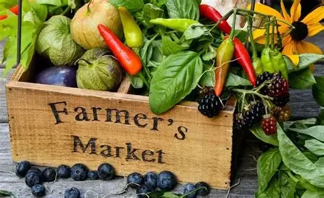 Appledore Farmers Market 