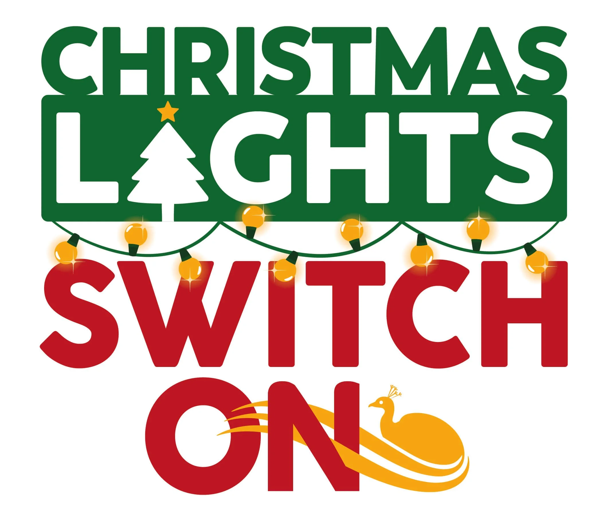 Christmas Lights Switch-on           South Molton