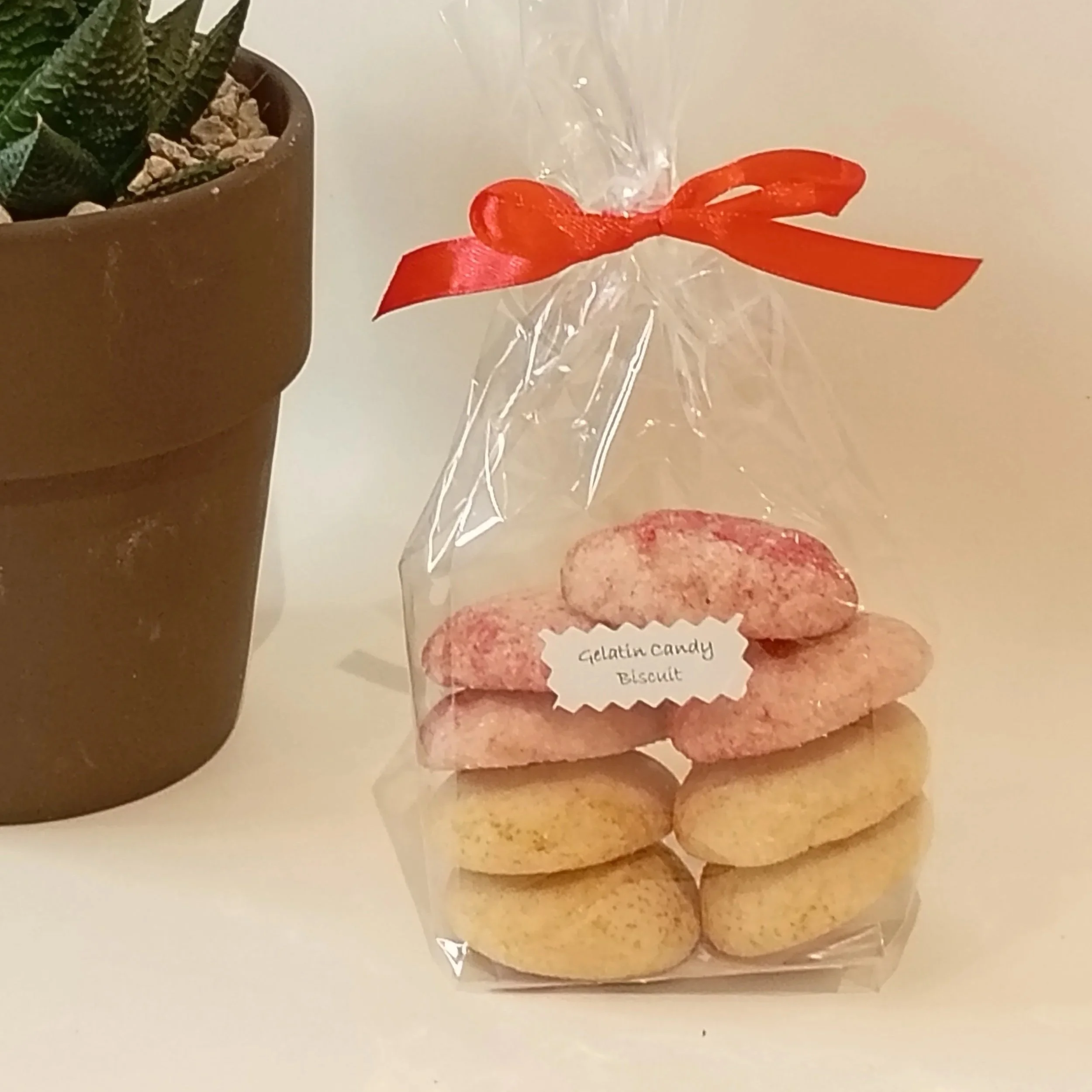 Clear plastic bag of assorted cookies labeled "Gelatin Candy Biscuit" with a red ribbon tied on top, placed next to a potted succulent plant.