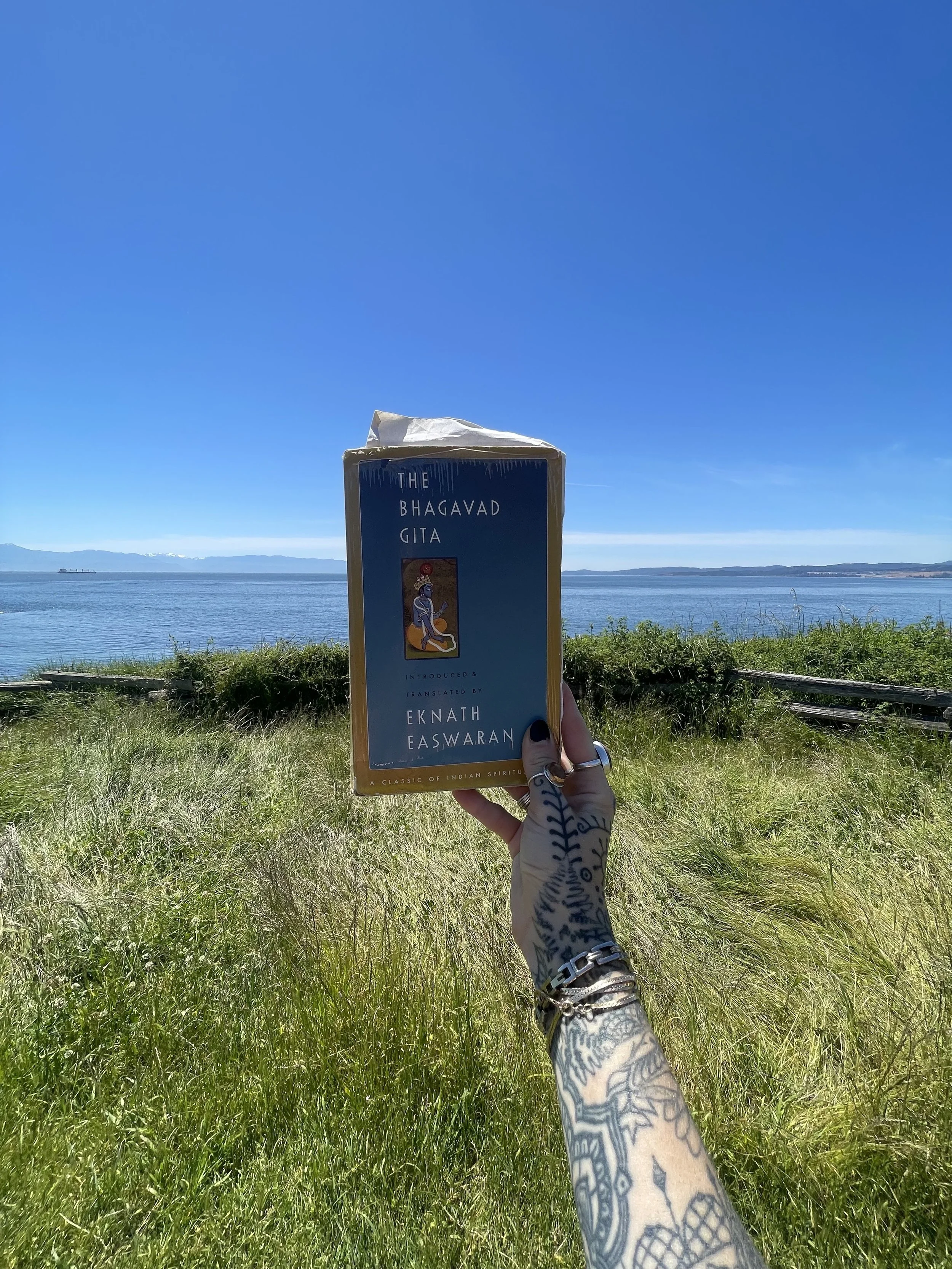 THE BHAGAVAD GITA 