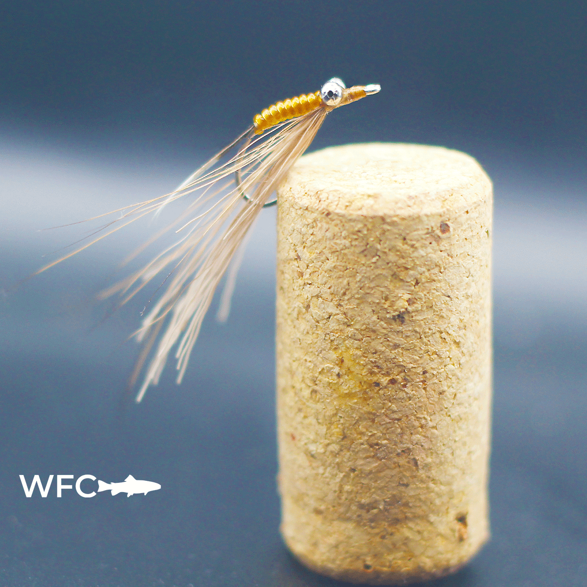 Amber-Shrimp.gif