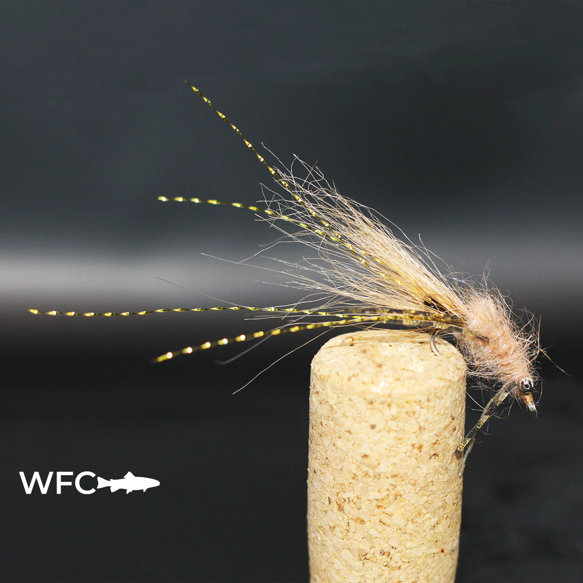 Tan-Shrimp.gif