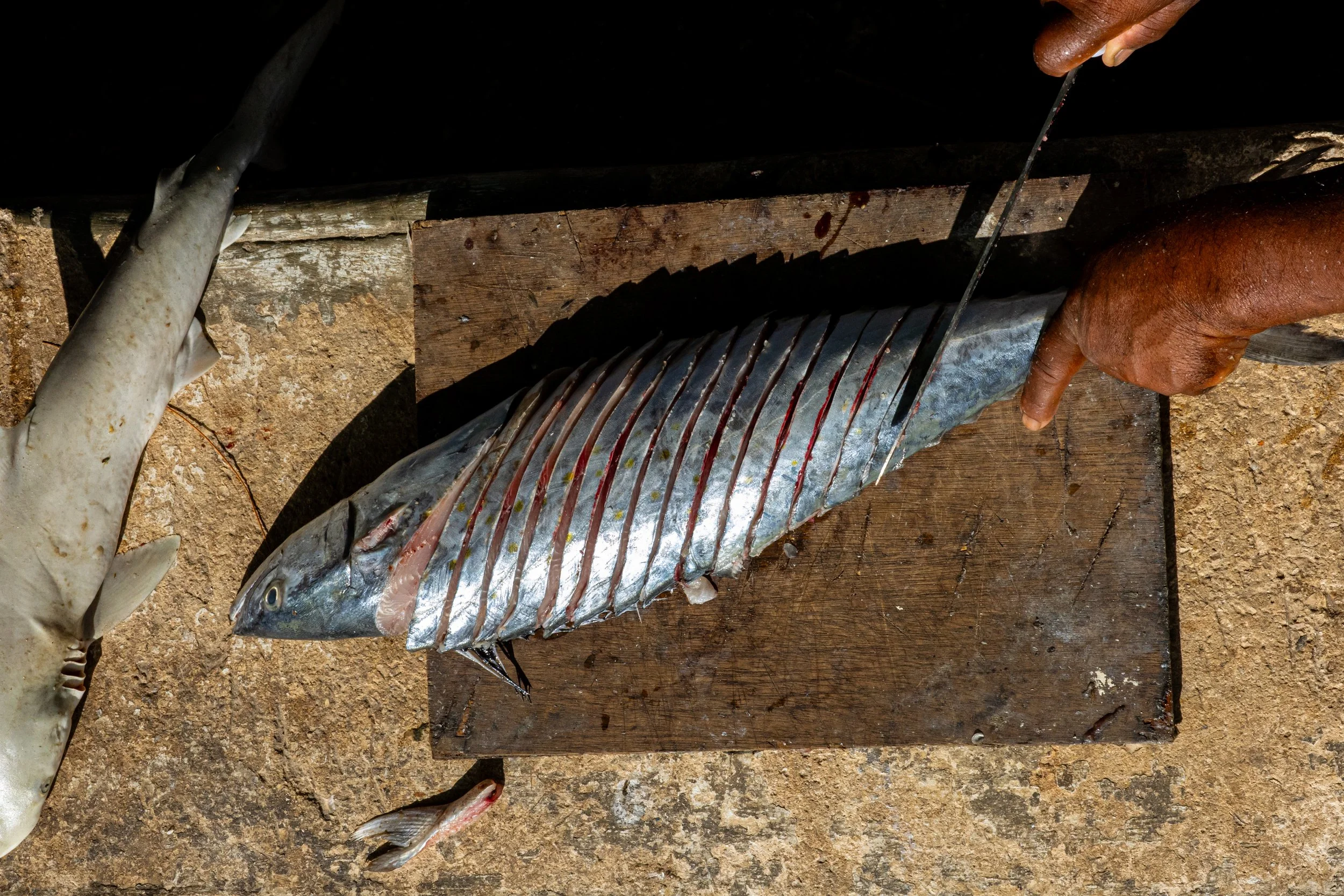 Pez sierra para asar