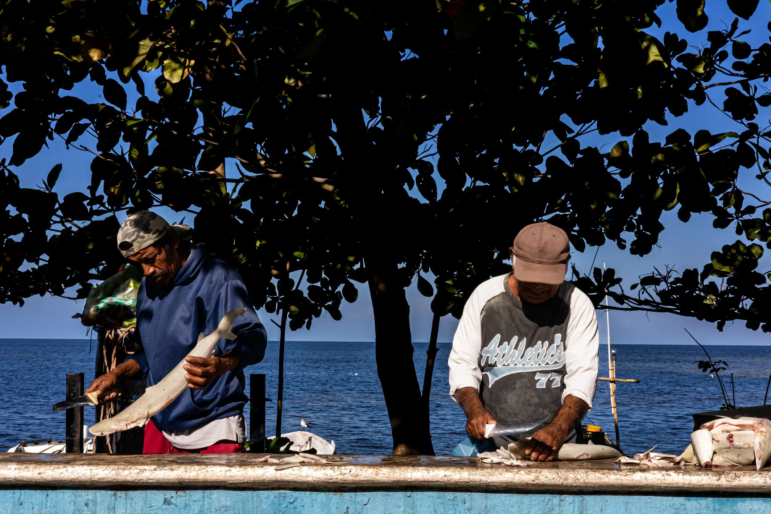 Víctor Hernández &amp; Manuel Jesús Segovia 
