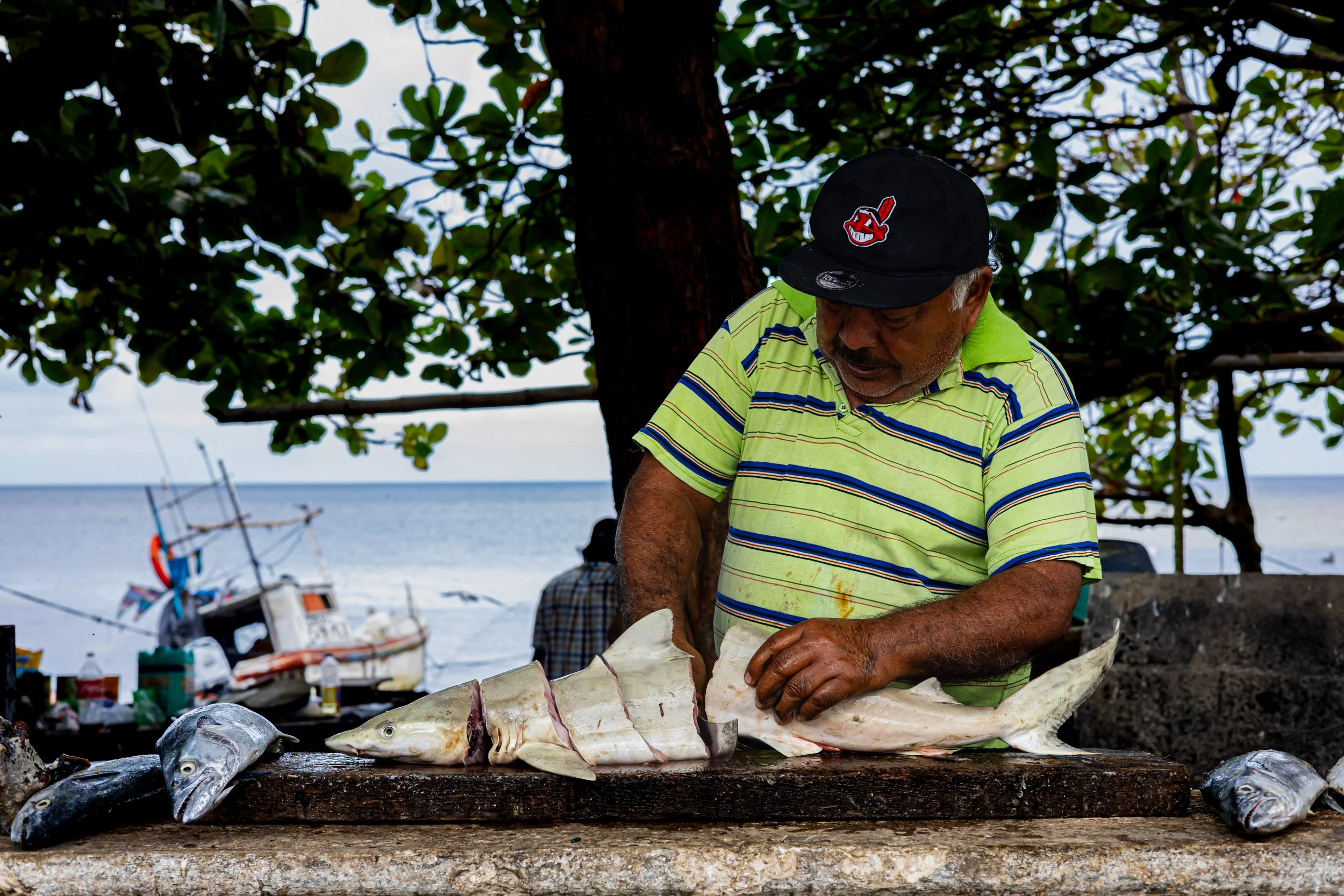 Campeche: Retratos del Mar
