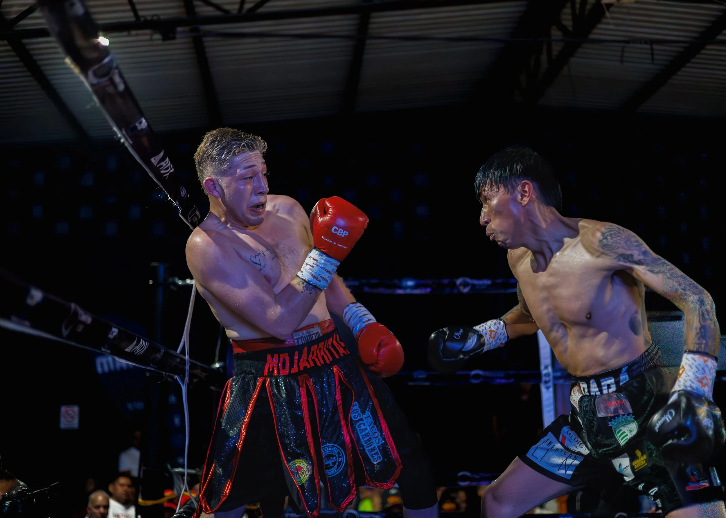 Two shirtless male boxers with gloves fighting in a boxing ring with an audience watching in the background.