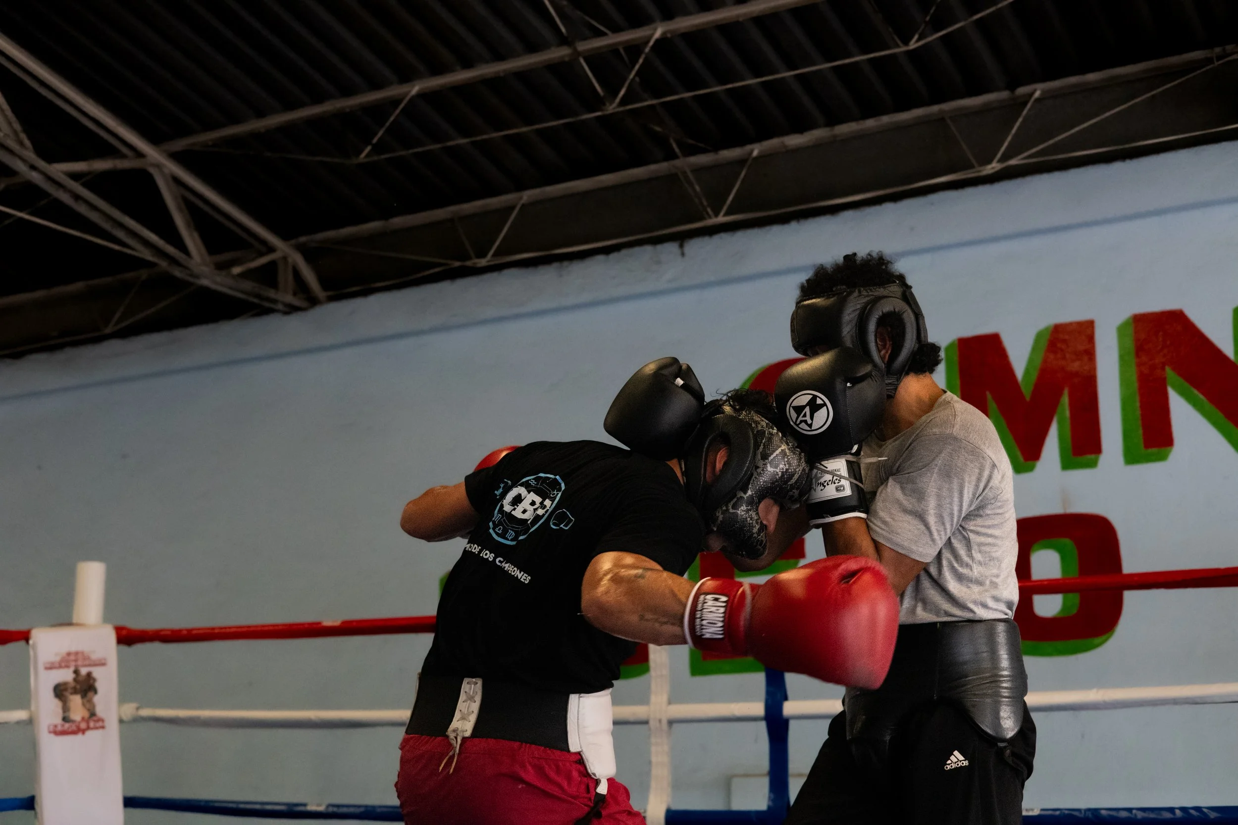 Sparring 2
