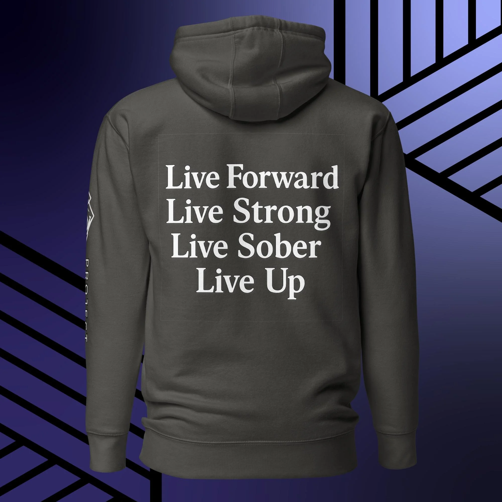 unisex-premium-hoodie-vintage-black-back-682b6b18a136f.jpg