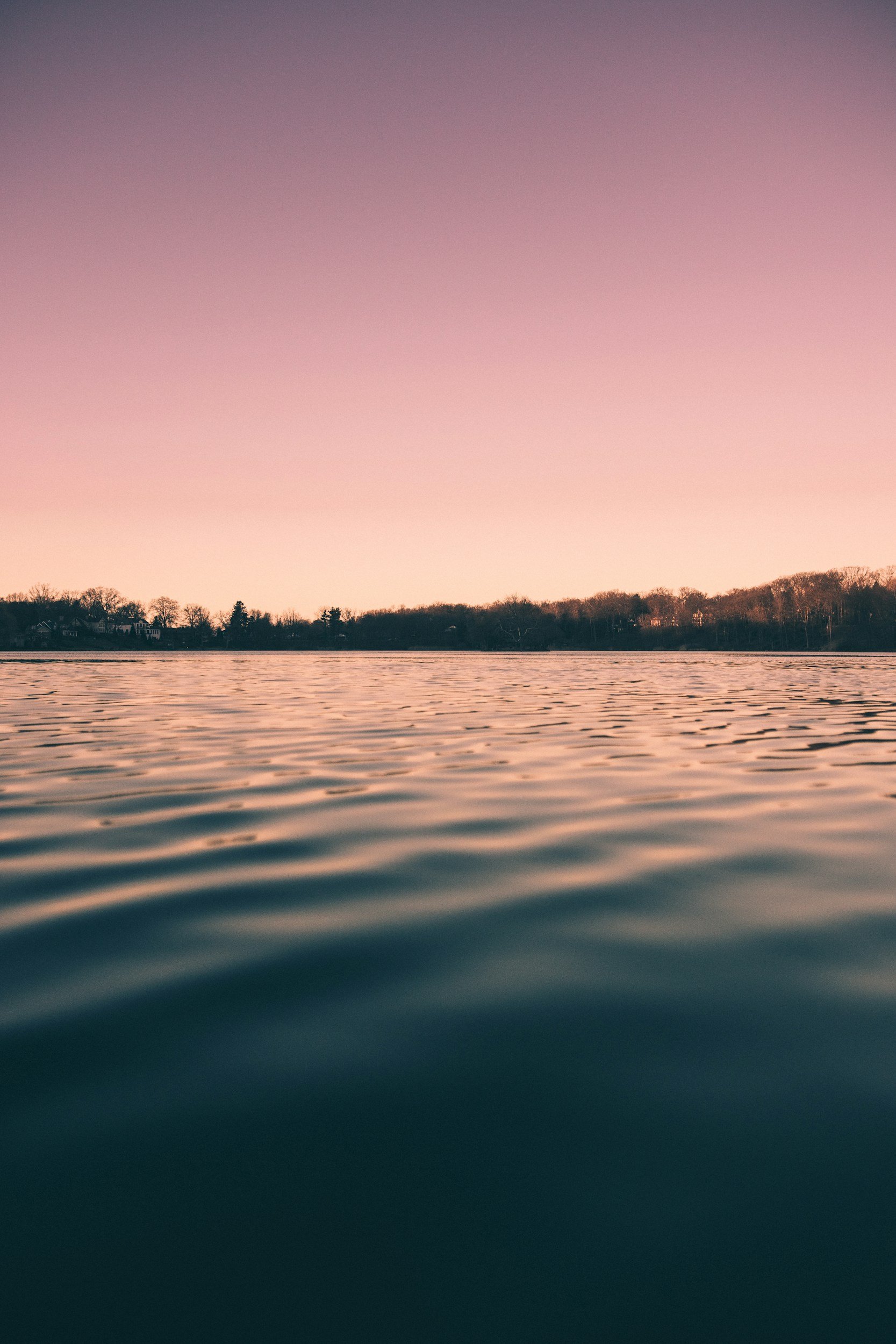 unsplash-image-UOk556hi1-8.jpg