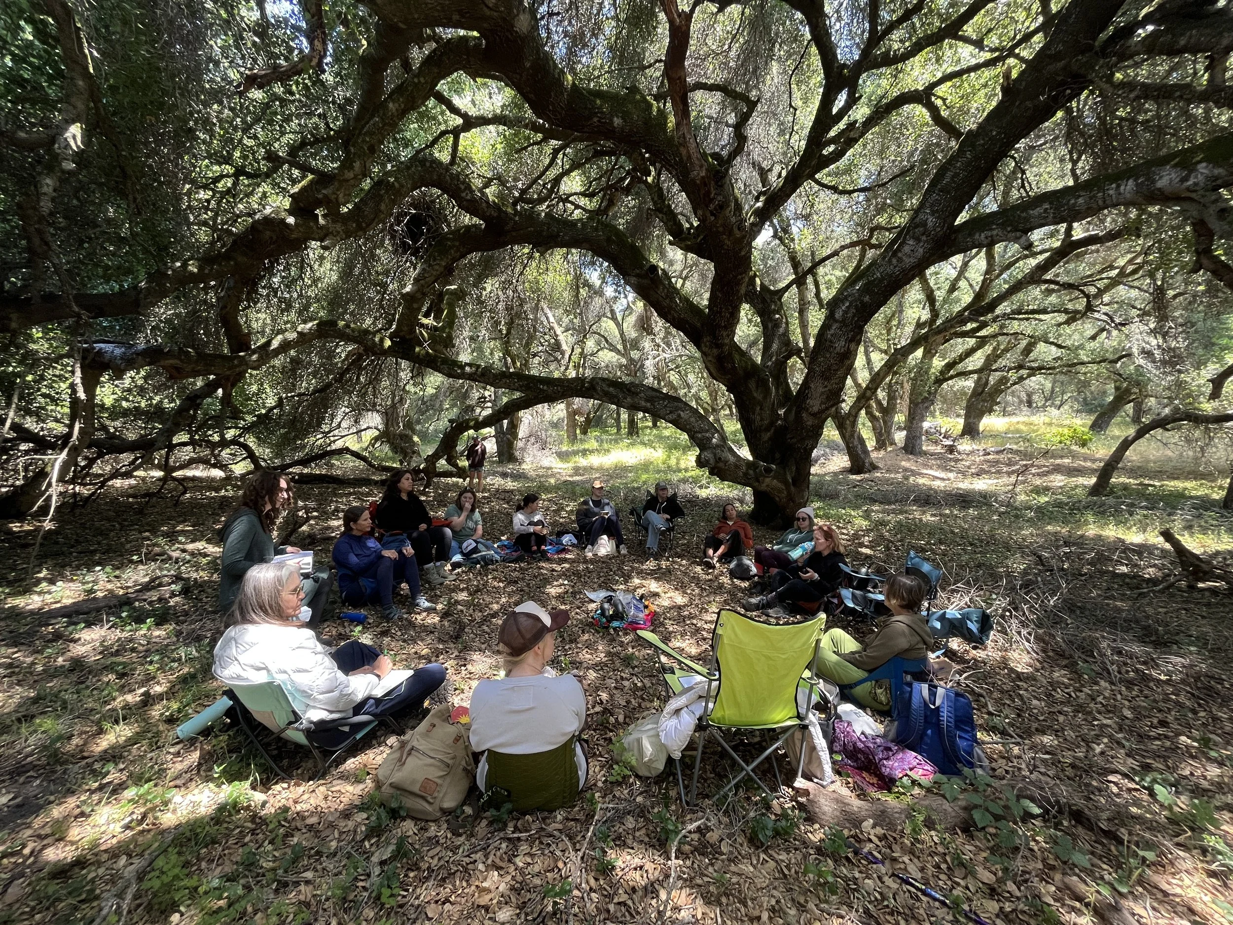 Photo Jun 04 2025, 12 13 42 PM.jpg