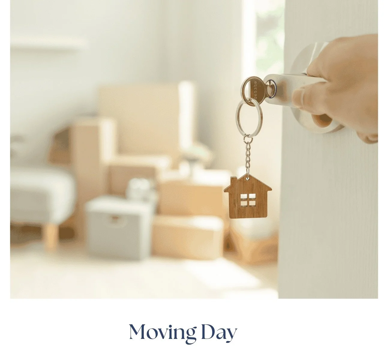 Starting Over in a Small Town: How I Found Belonging Through My Dover, MA Home