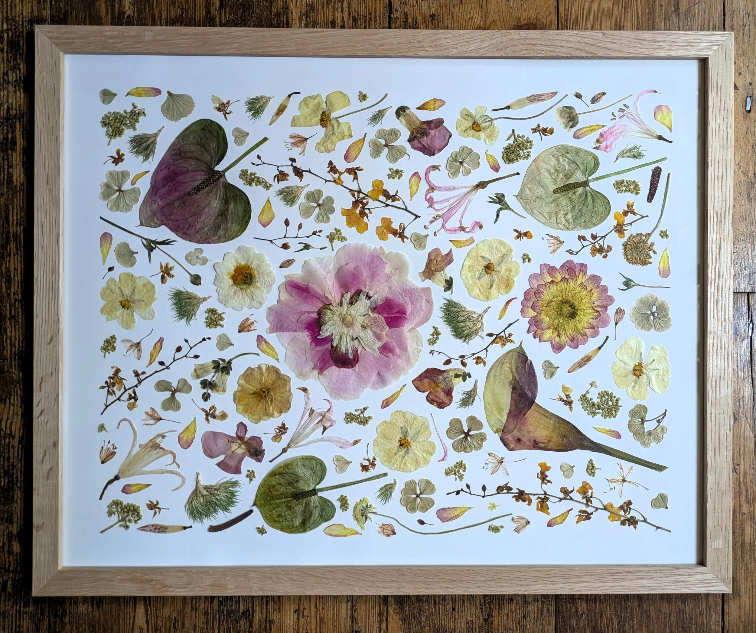 large rectangle collage.jpg