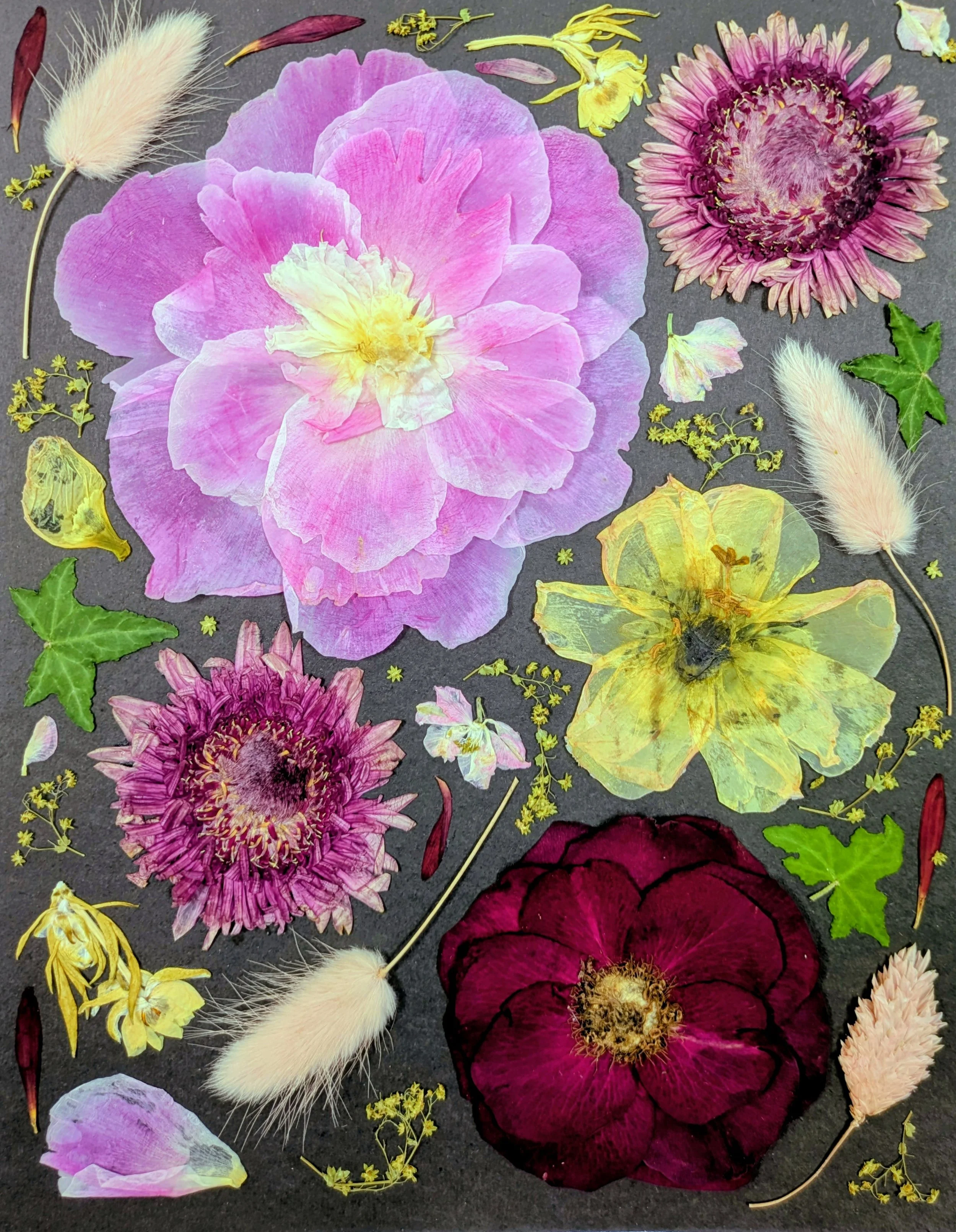 Collage 10 x 8  Black Background