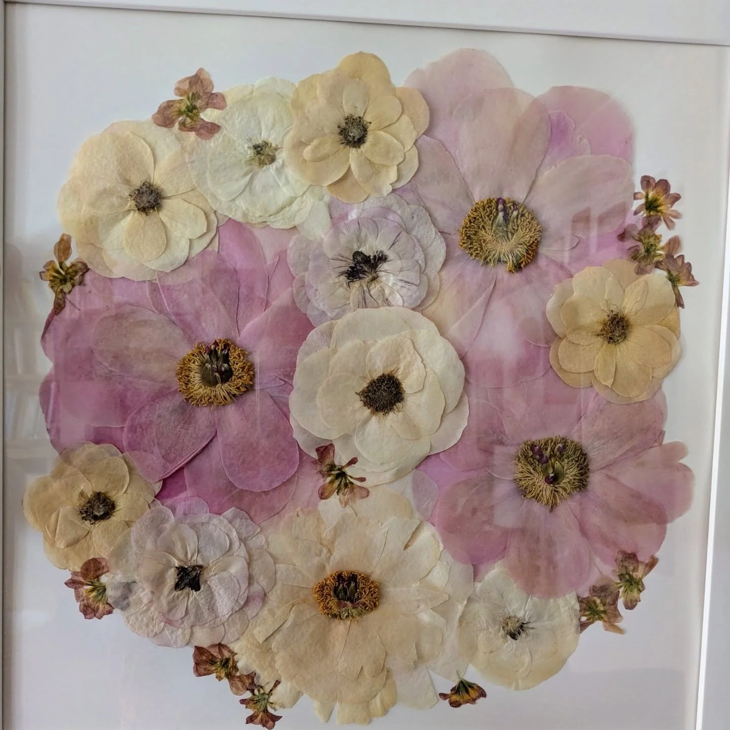 Emma's beautiful,soft-toned bouquet of roses, ranunculus, stocks and, of course, those wonderful peonies! Arranged in classic bouquet style in a 16 x 16 inch, white frame. Flowers by @vistaandbloom