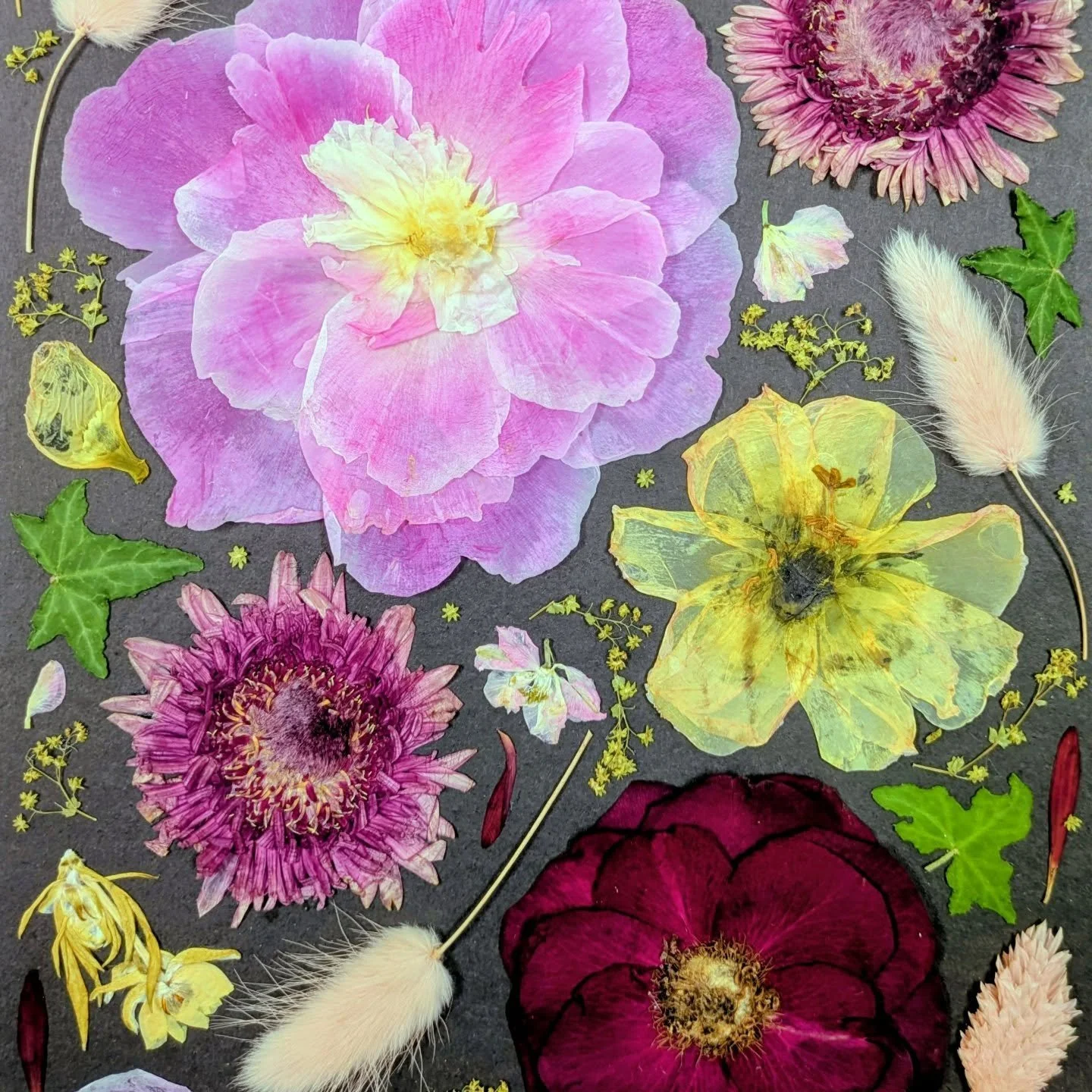 Salom&eacute;'s flowers were in a bit of a sorry state after an oversight with the postage led to them being out of water for three days. Yikes! So pleased that we salvaged enough flowers for this little stunner. I've always wanted to try a black bac