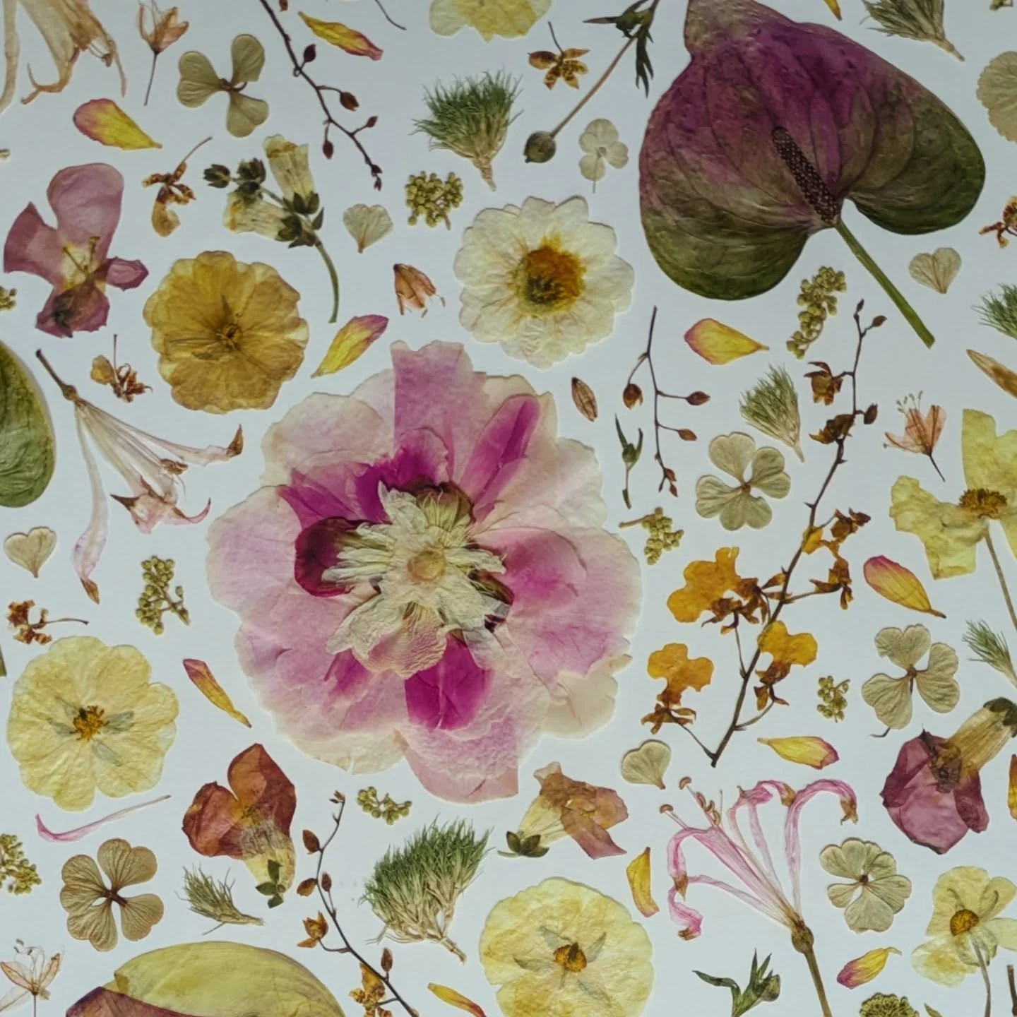 Sara's beautiful July wedding bouquet and ceremony flowers. Perfectly preserved in 2 stunning 16 x 20 inch oak frames.