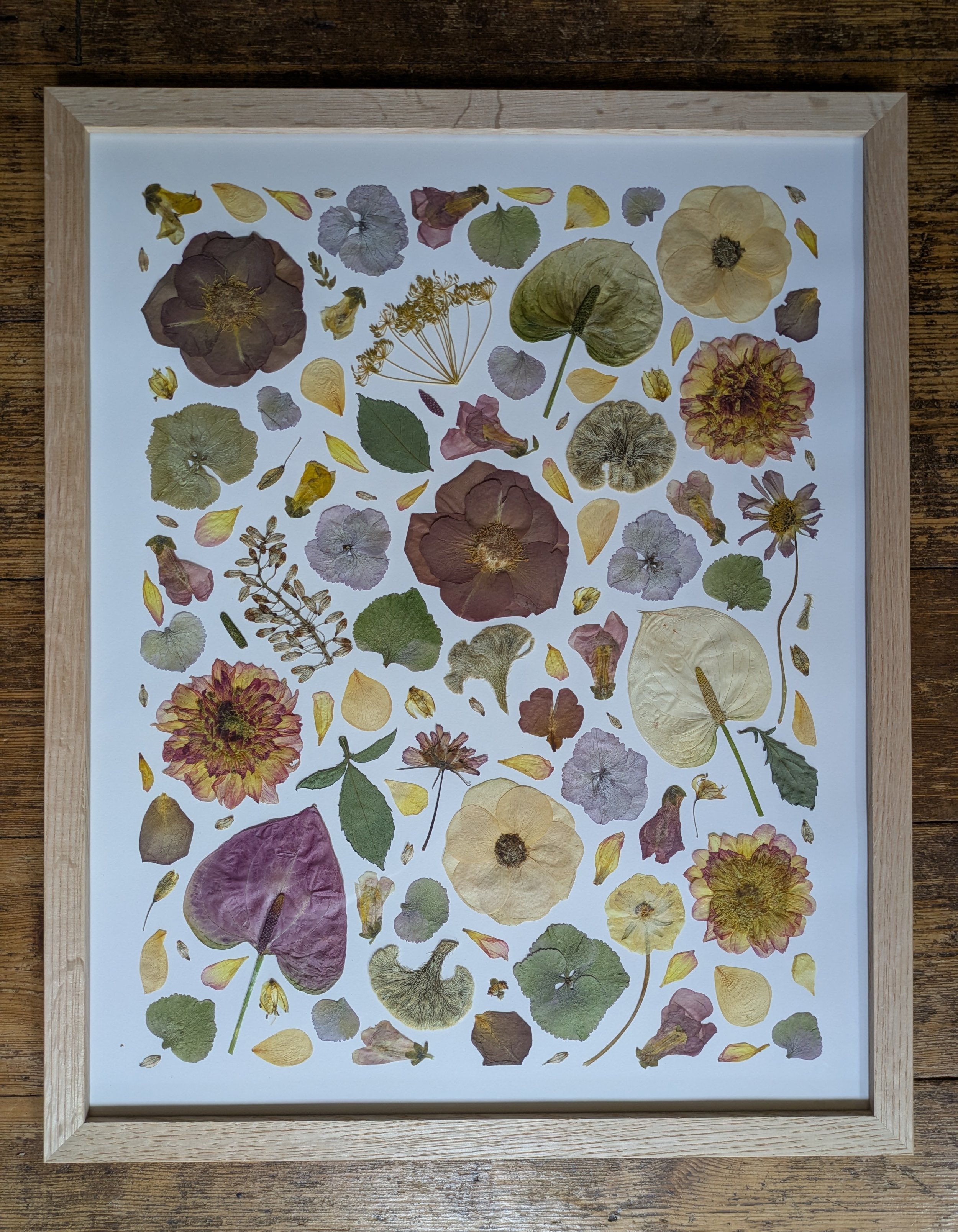 Collage 16 x 20 Oak Frame