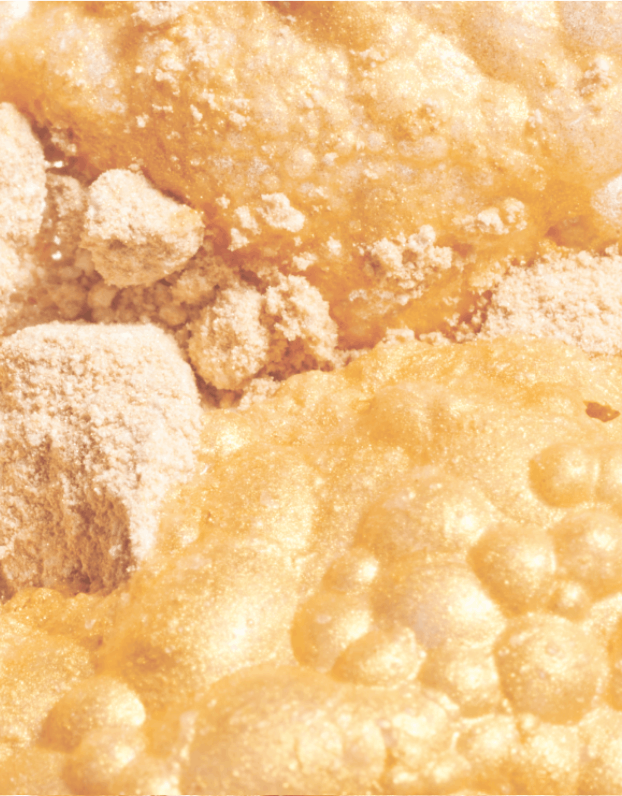 Close-up of fried chicken with crispy coating, savory gravy, and bubbly cheese.