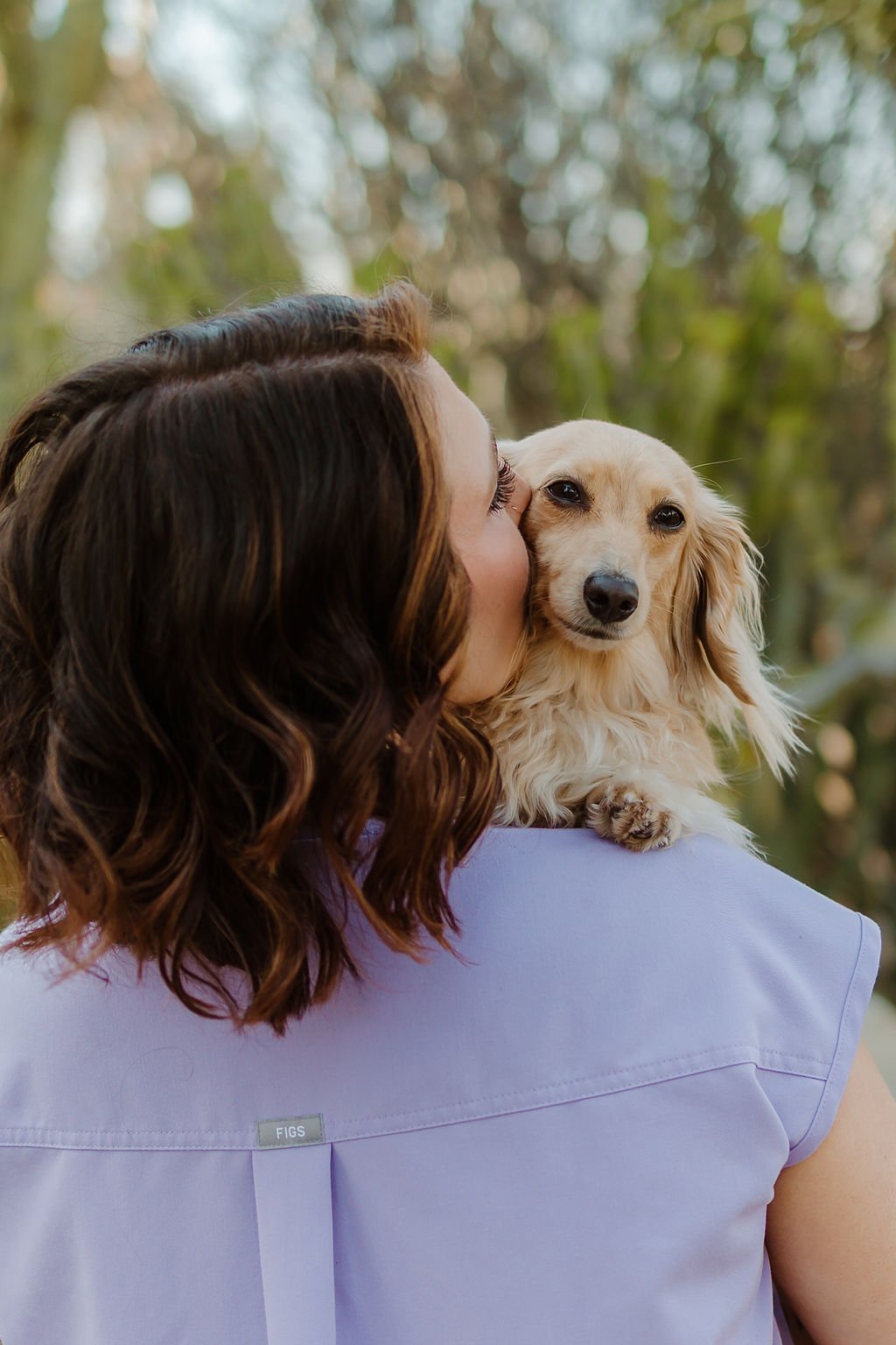 5 Questions to Ask Your Veterinary Oncologist at Your First Consult