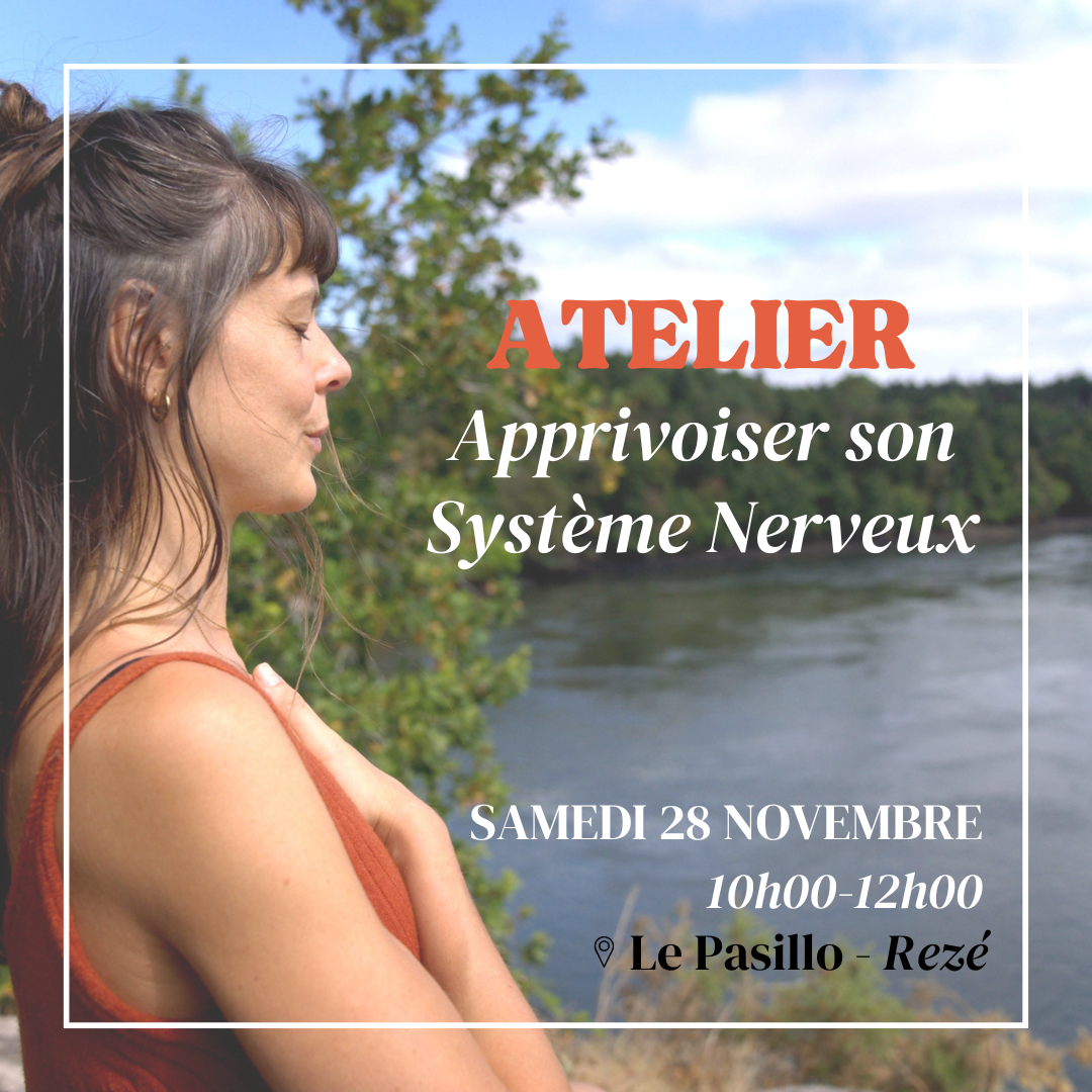 atelier yoga systeme nerveux