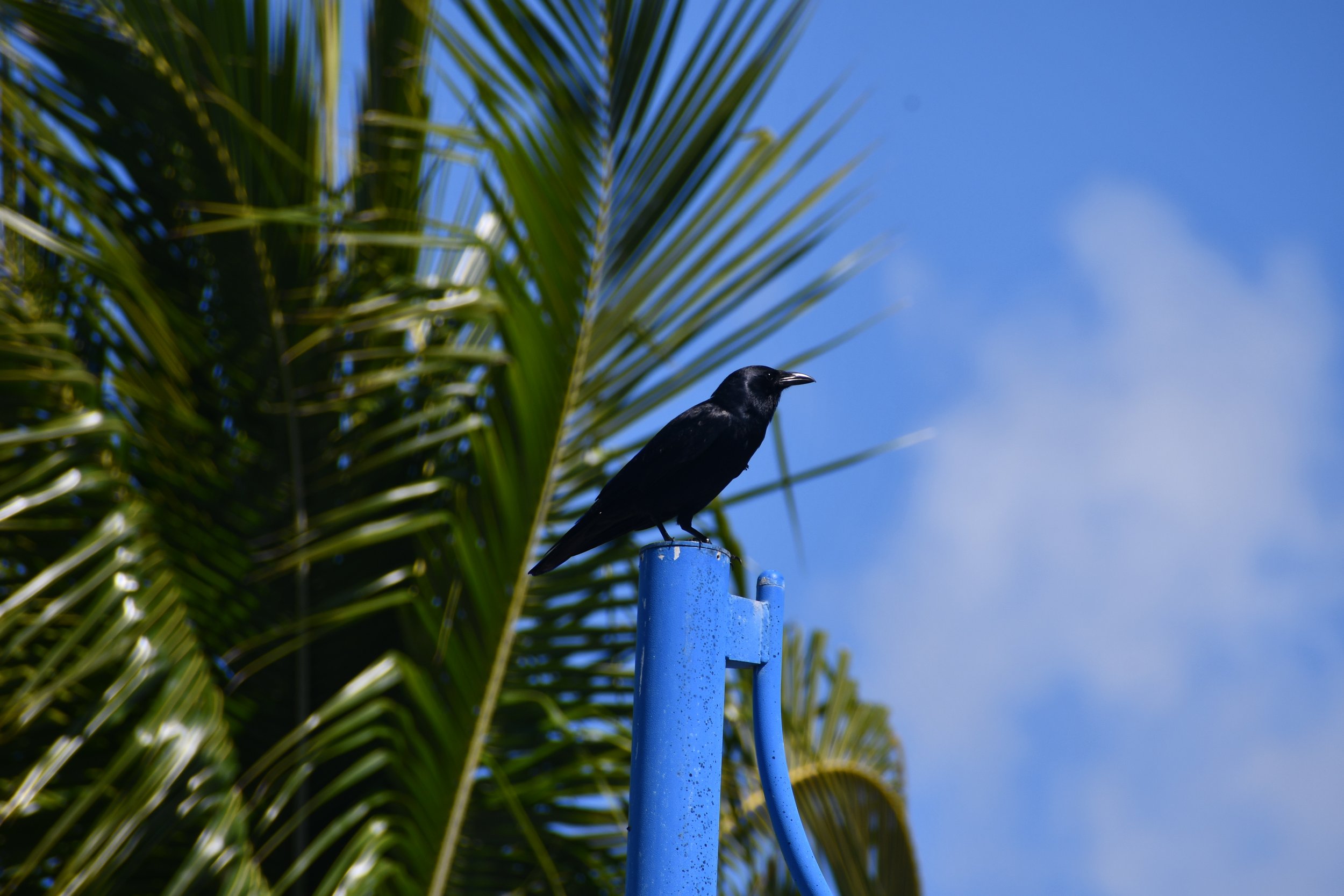 DSC_2557.jpeg