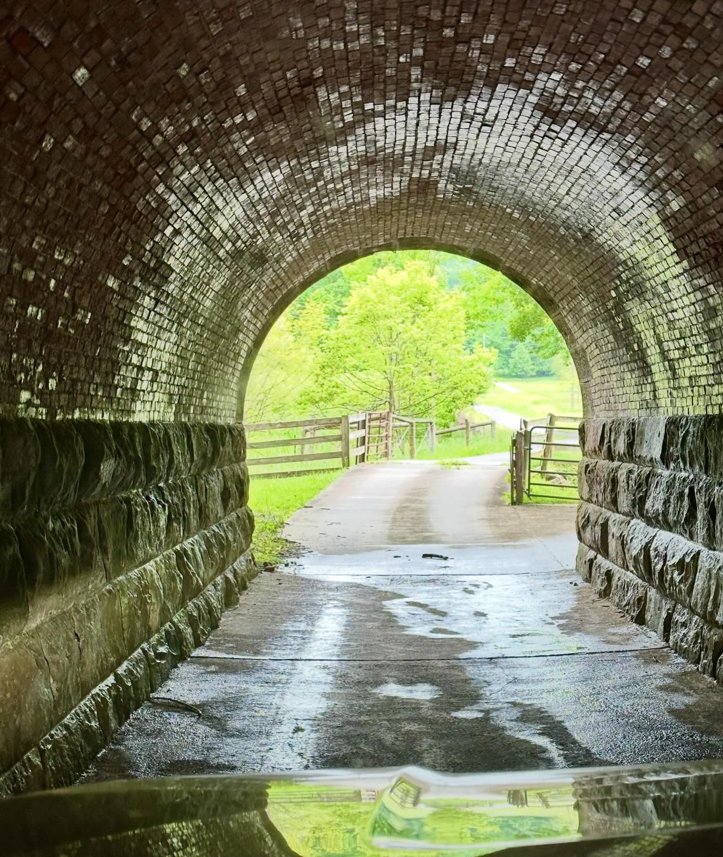 This tunnel is the entrance to our farm. Some might think it&rsquo;s inconvenient or weird but it is pure magic to me. A portal maybe? The kids always wanted to beep the horn when we went through and in the spring there are always birds nests with eg