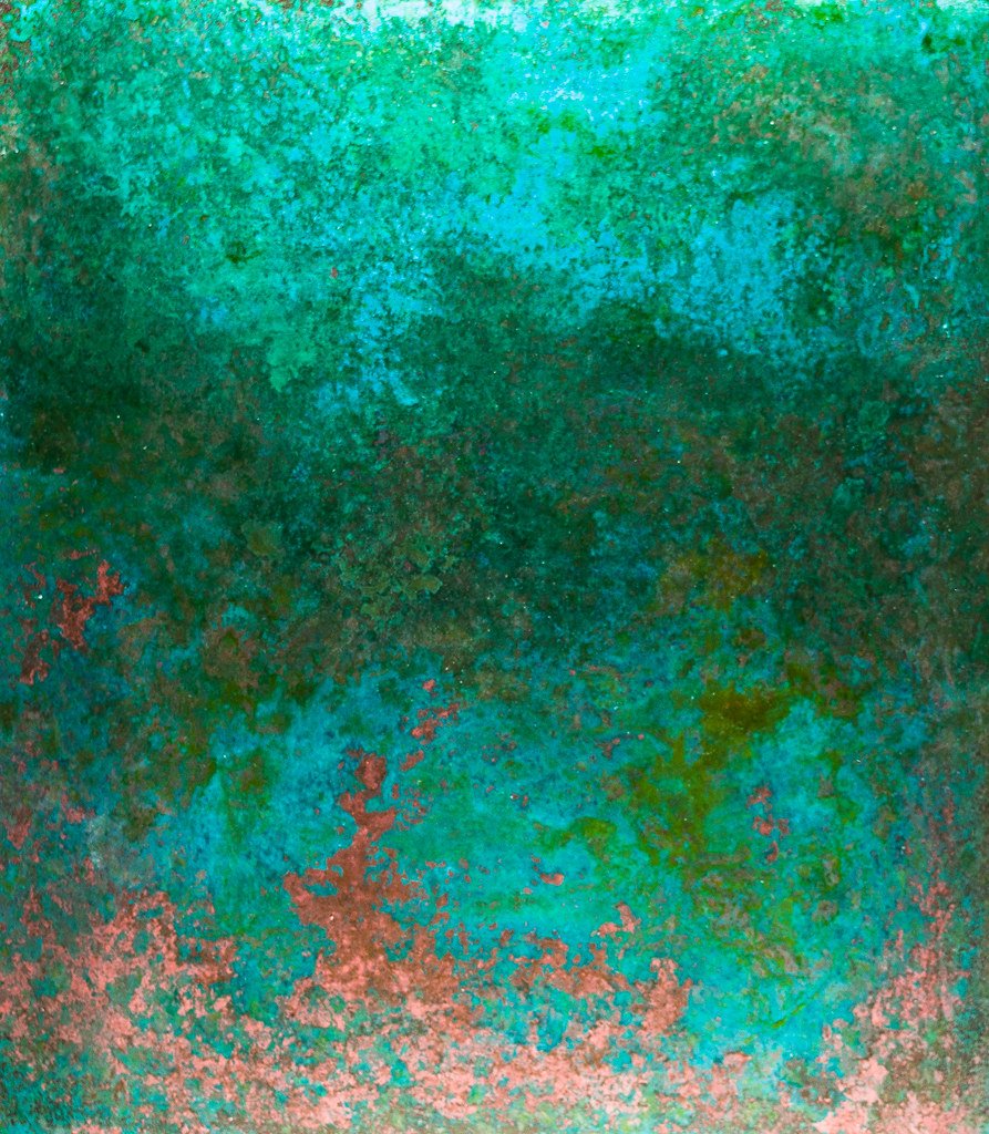 4792633527_3c1b4518bc_b.jpg