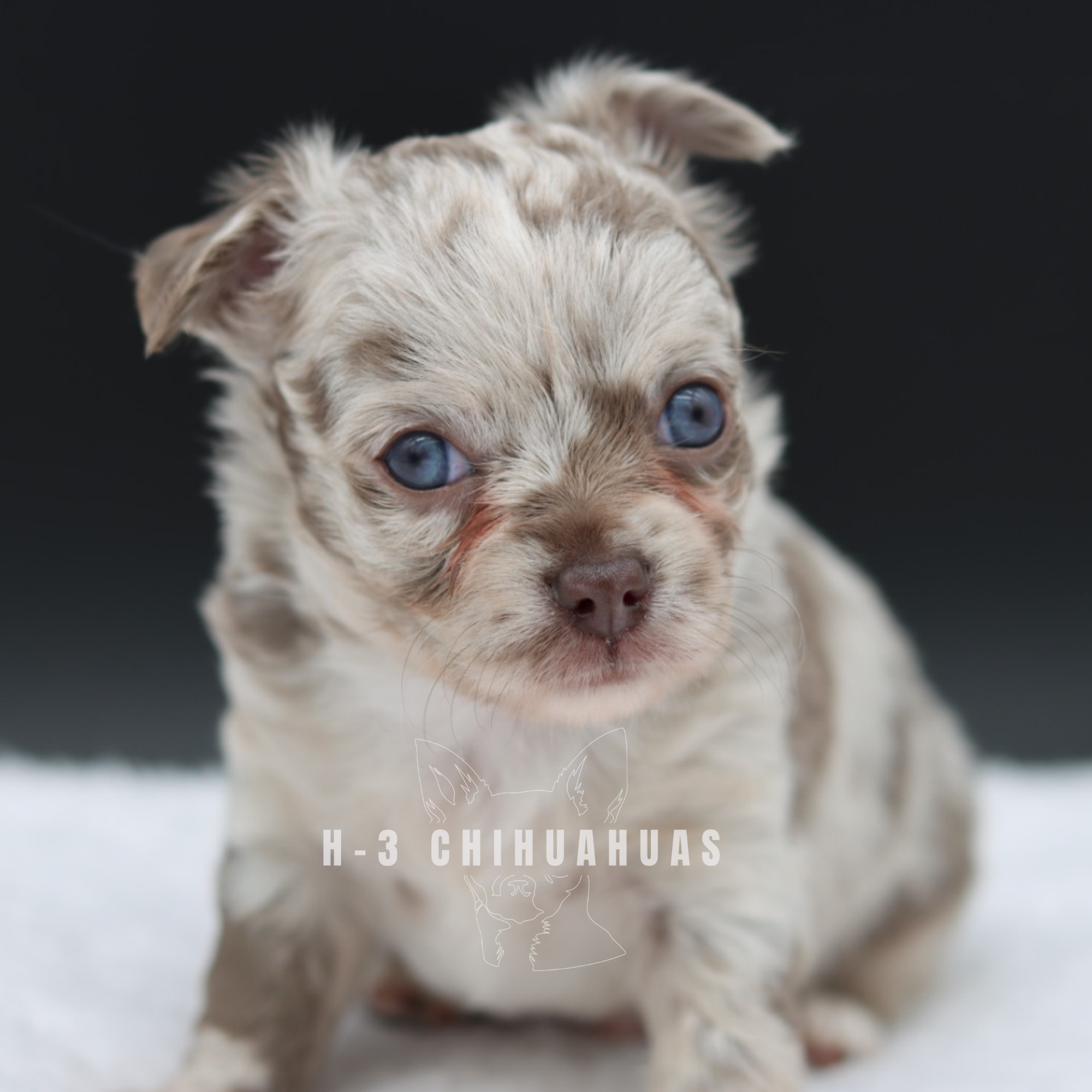 Watermarking - CULLIN - 5_25 (35).png