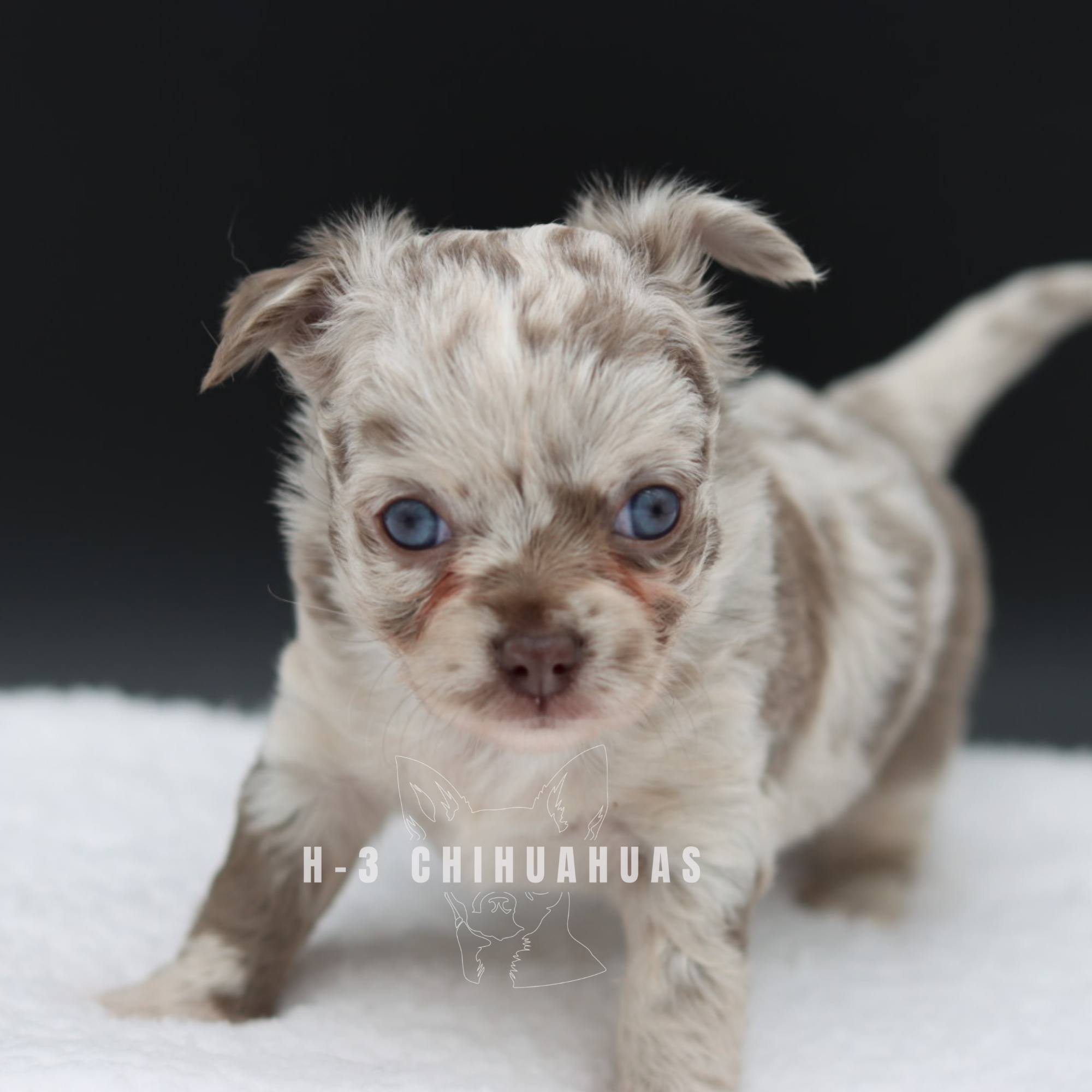 Watermarking - CULLIN - 5_25 (36).png