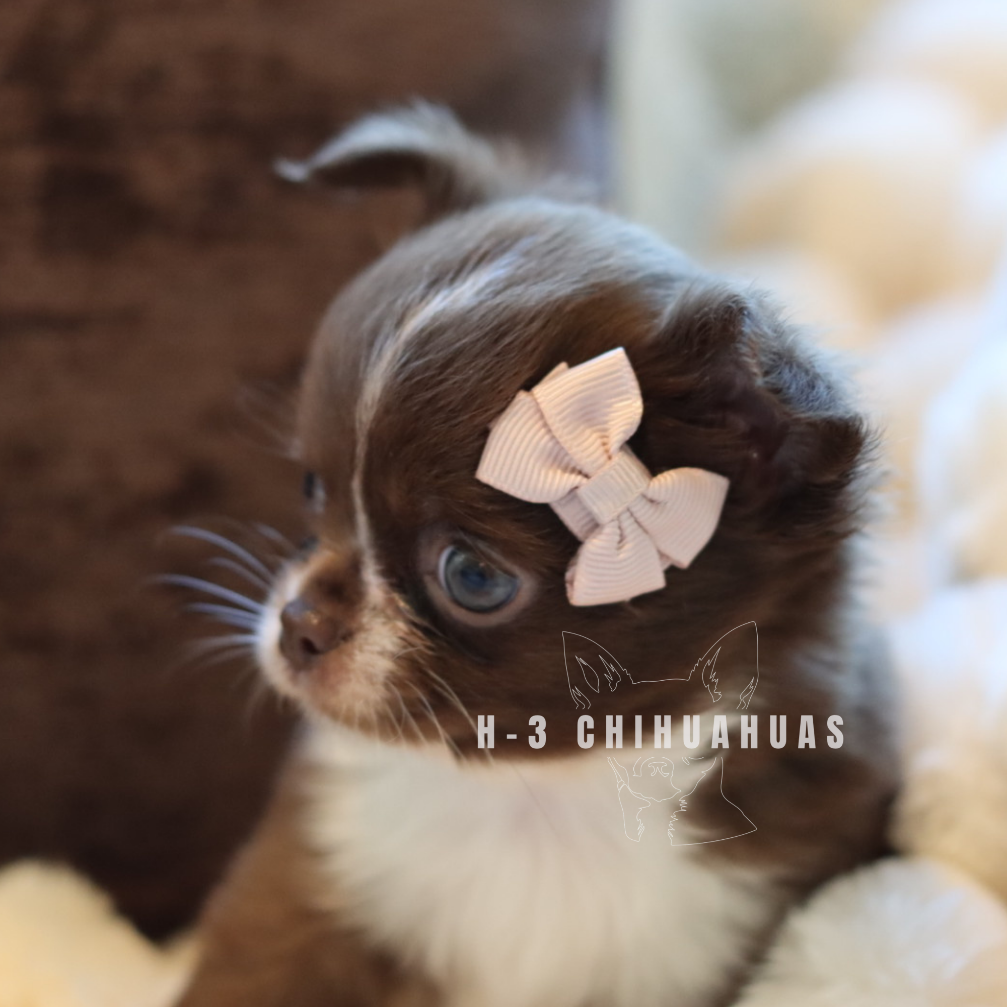 Watermarking - CULLIN - 5_25 (14).png