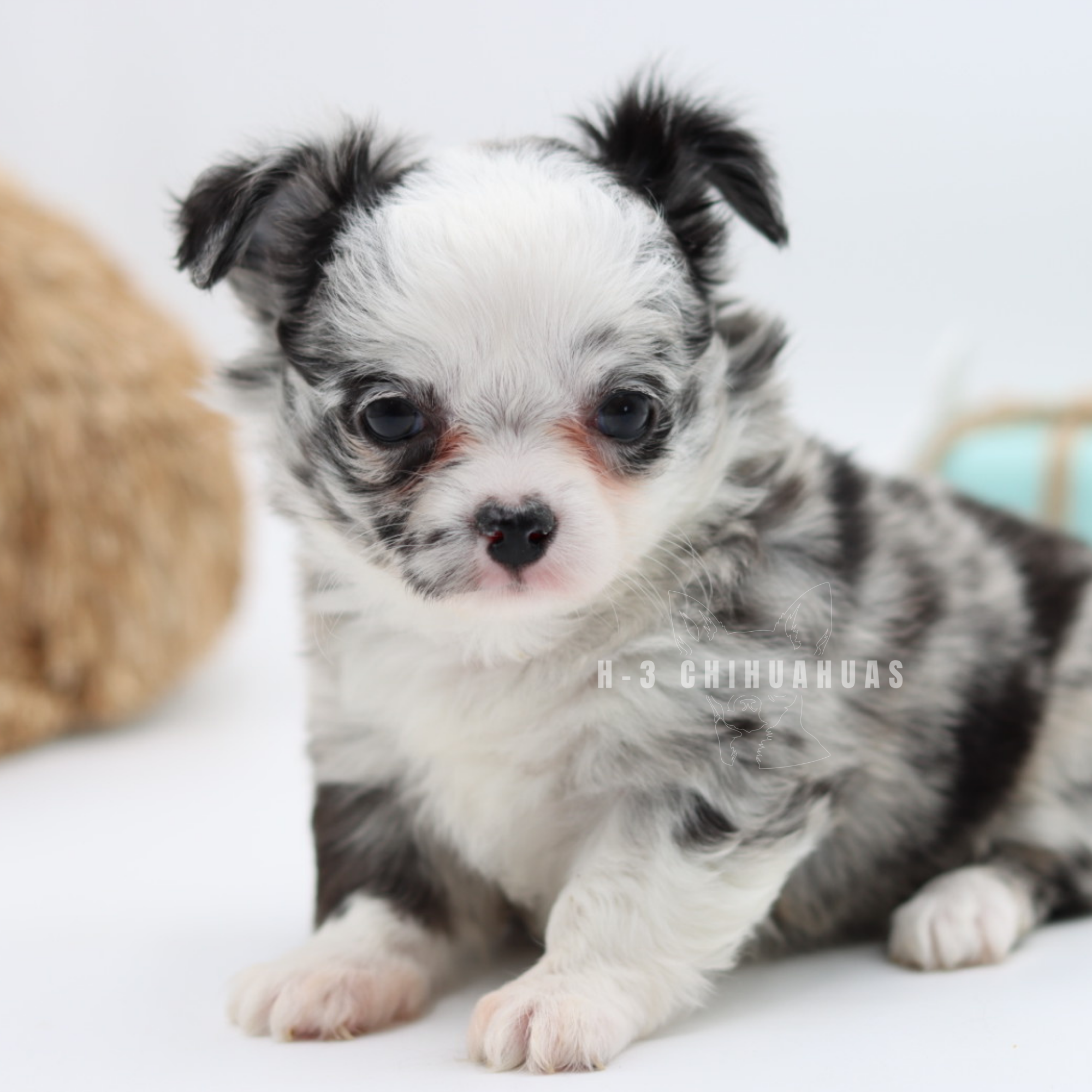 RUTH (RESERVED)