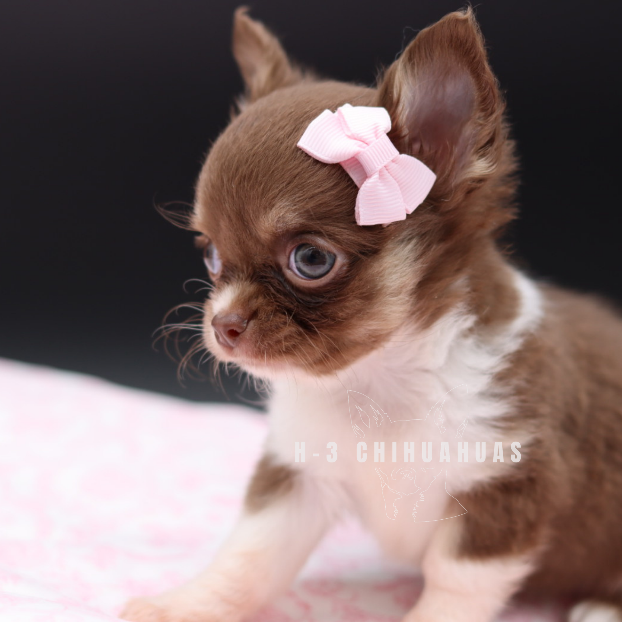 TATUM (RESERVED )