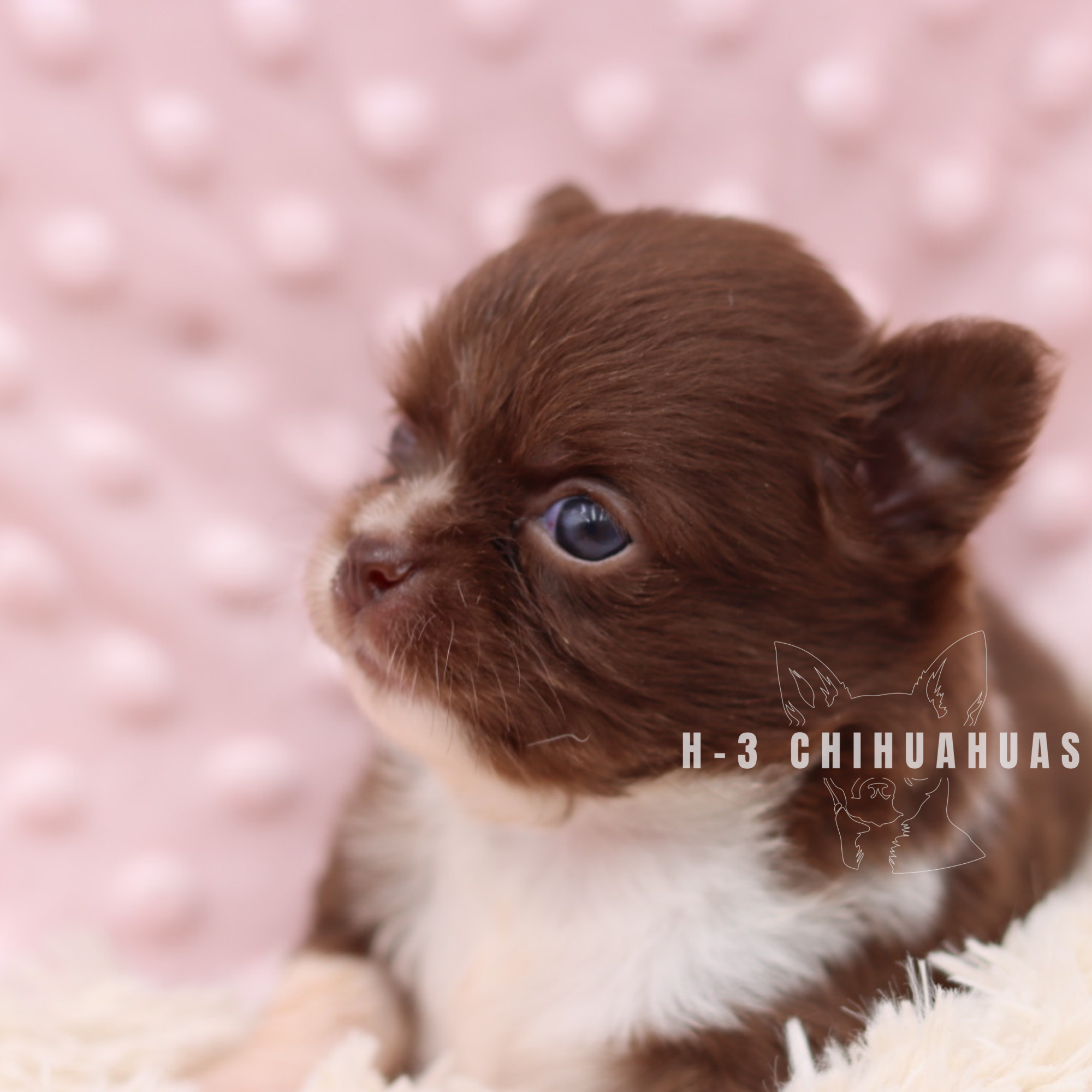 Watermarking - CULLIN - 5_25 (16).png