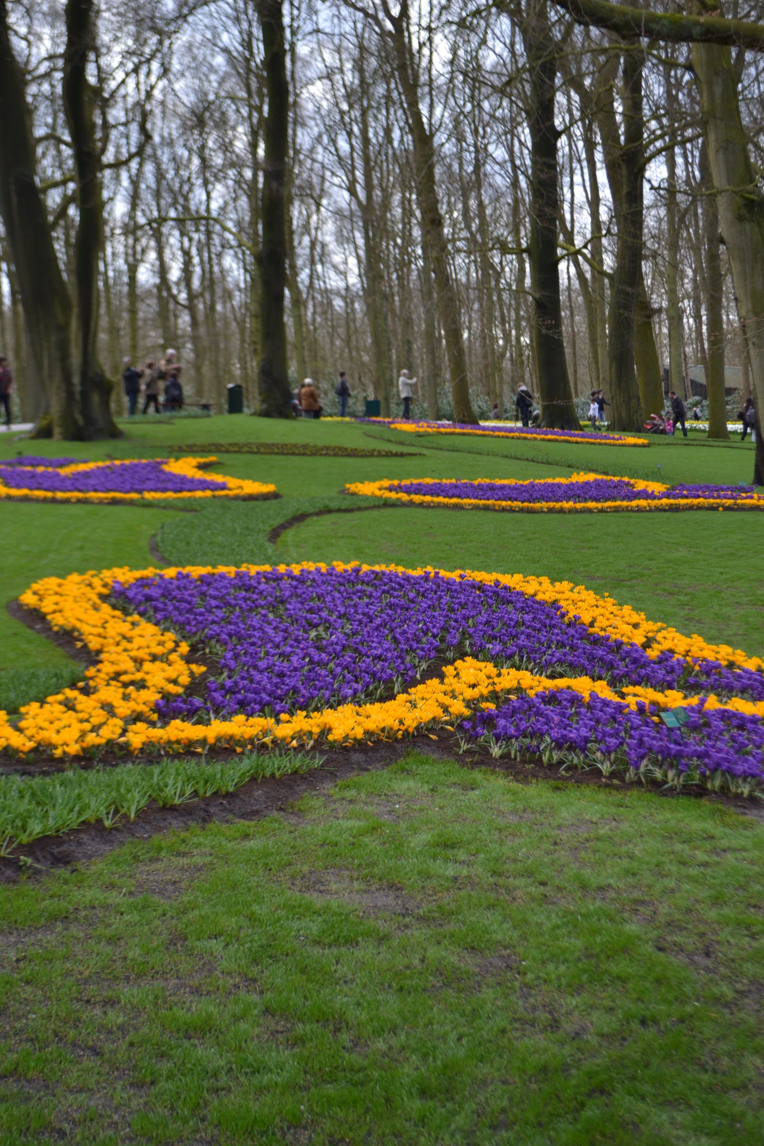 DSC_0097.jpeg