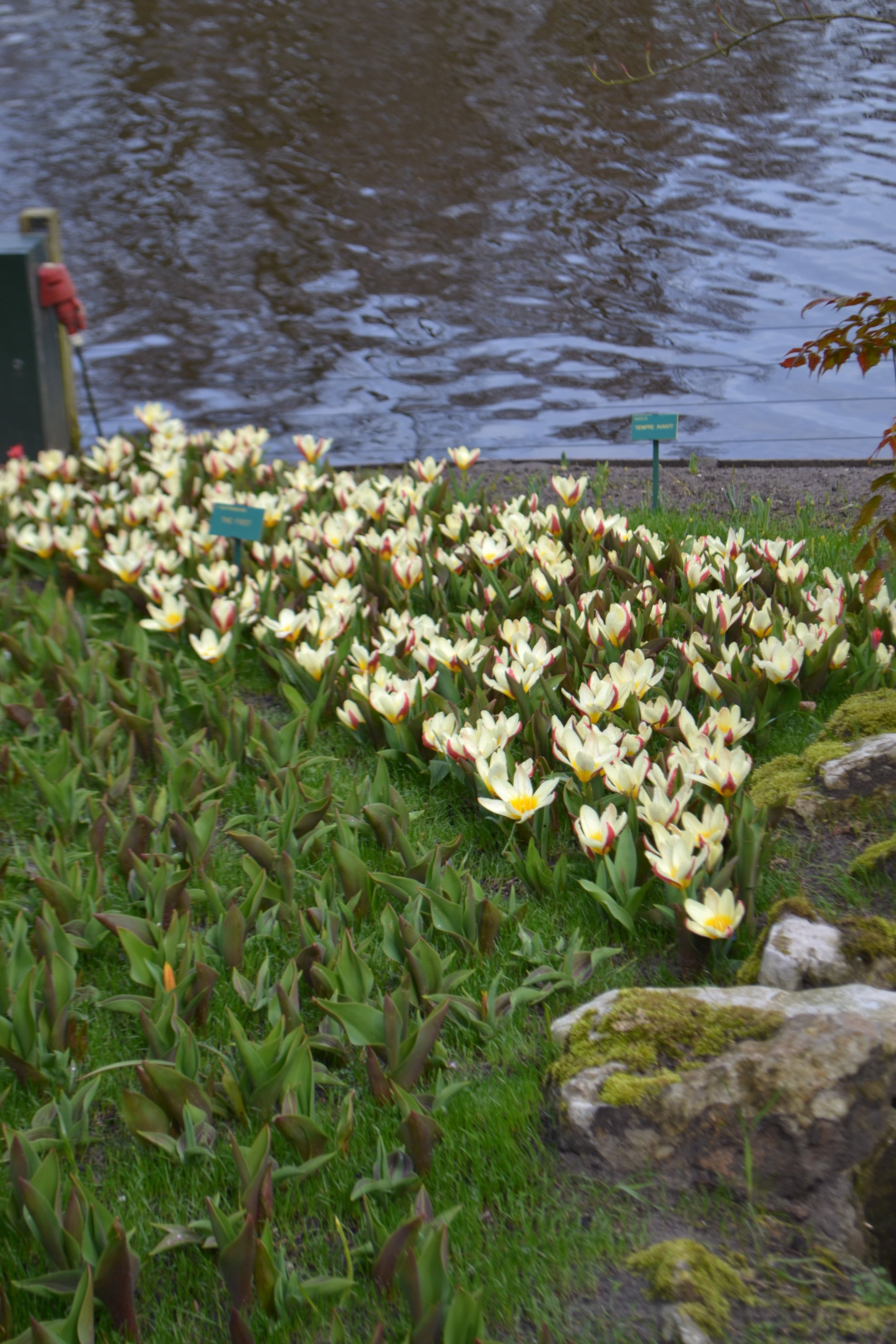 DSC_0101.jpeg