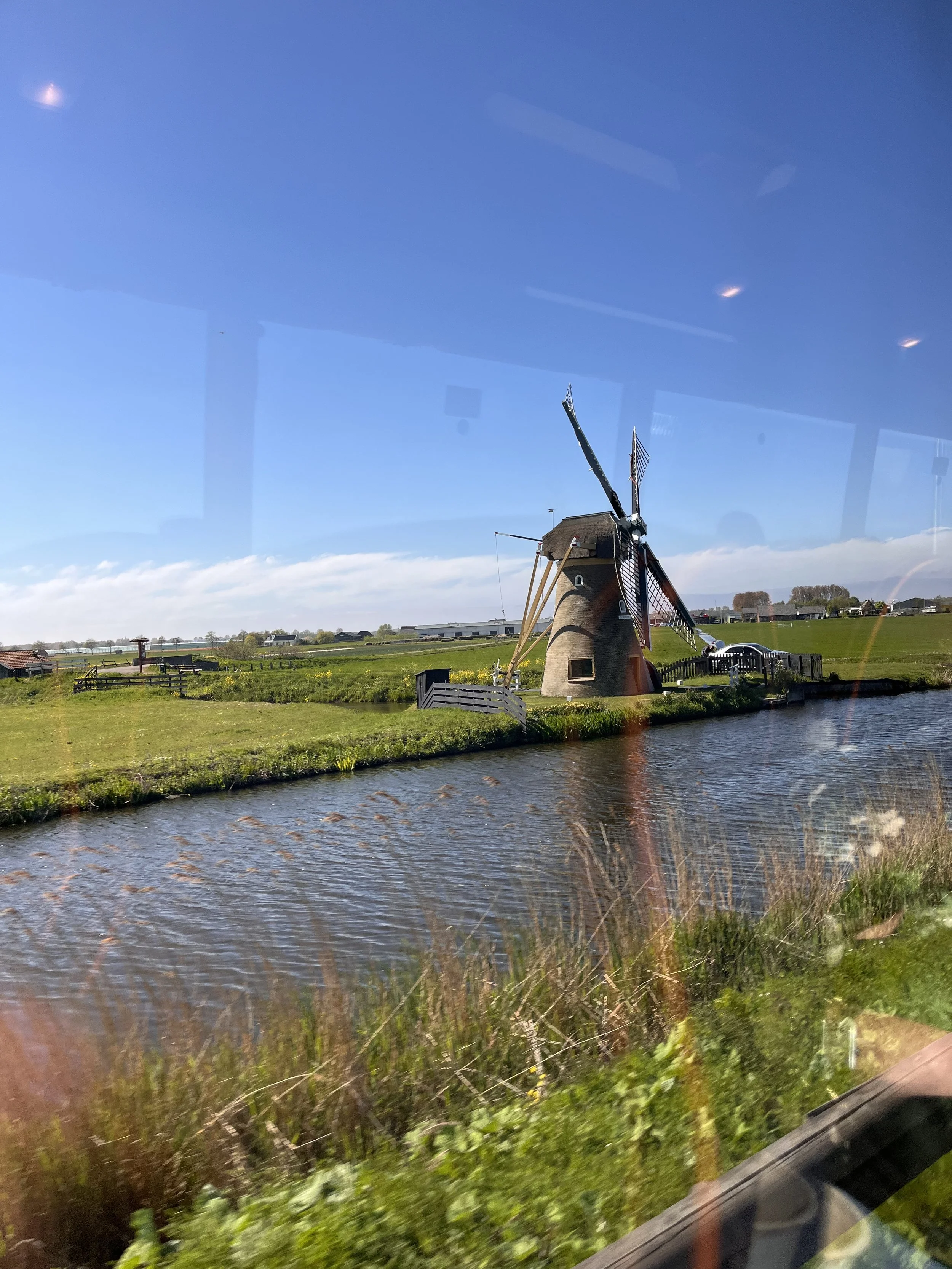 IMG_1350.jpeg