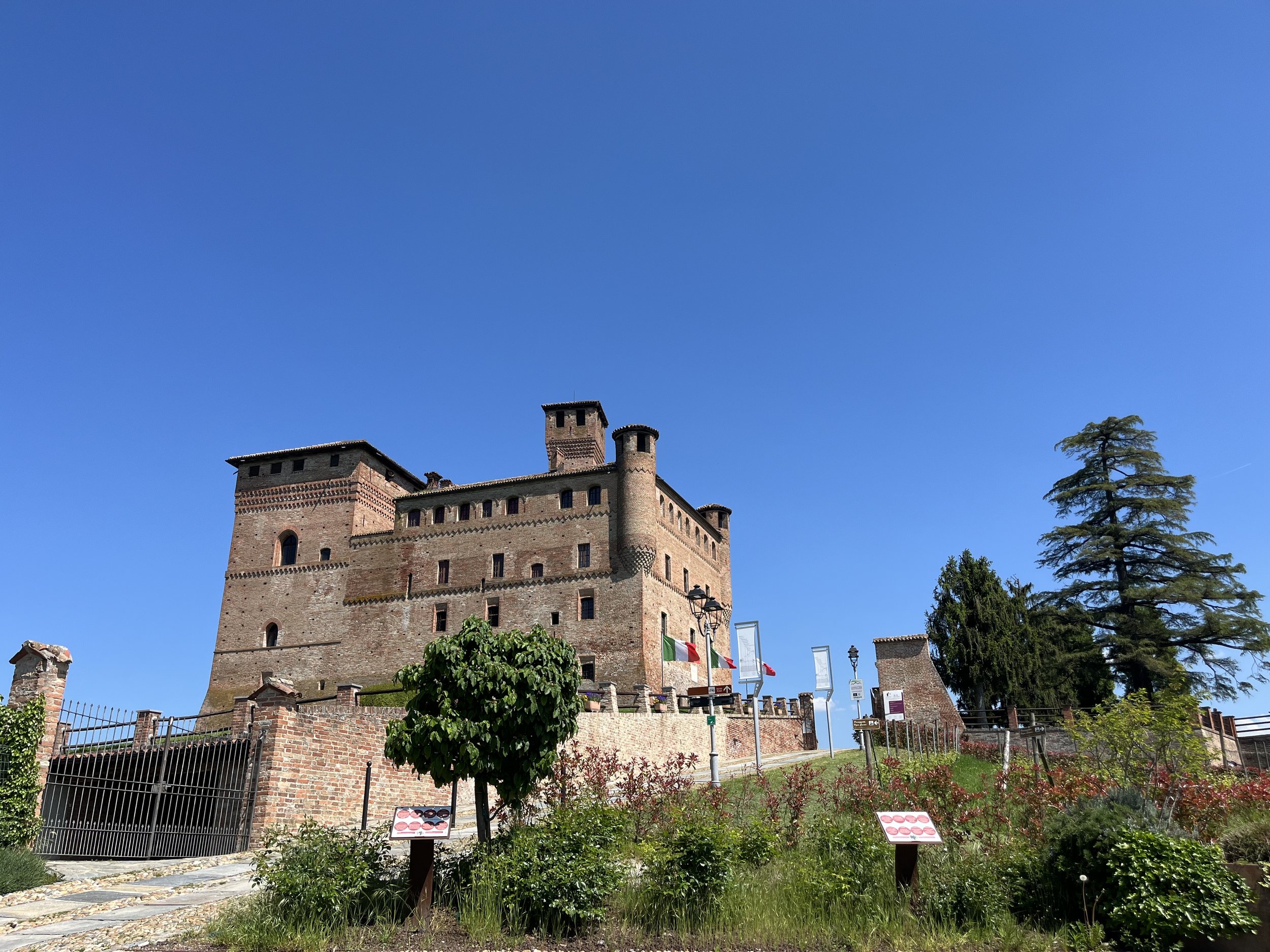 IMG_7569.jpeg